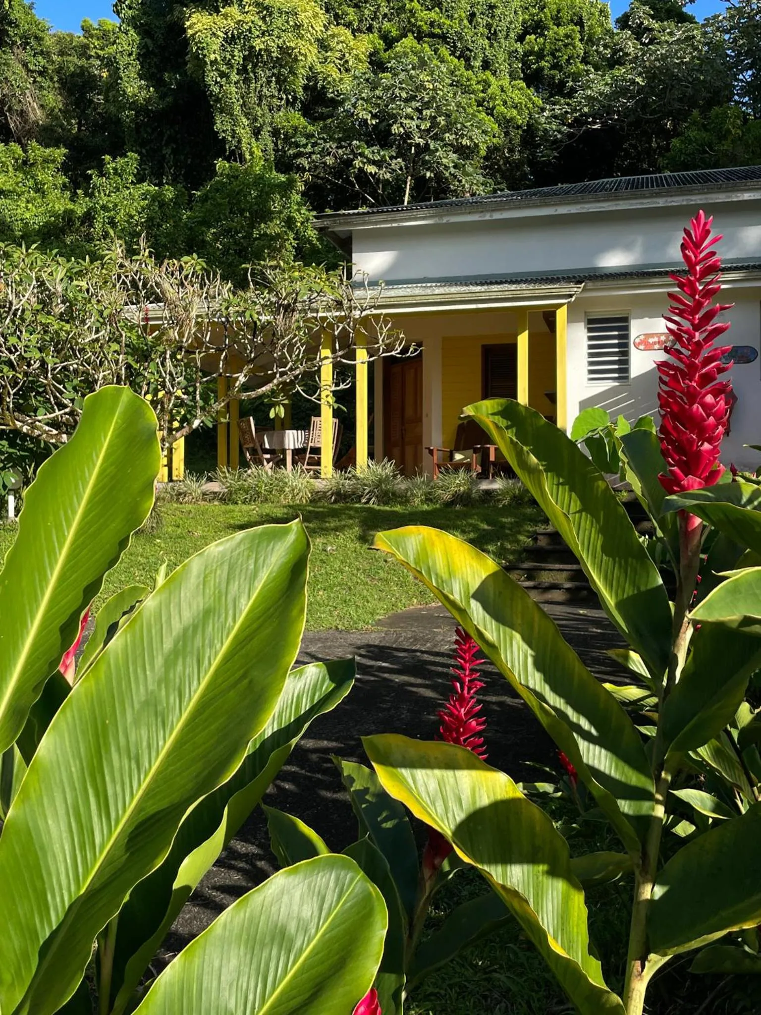 Day in Les Cycas