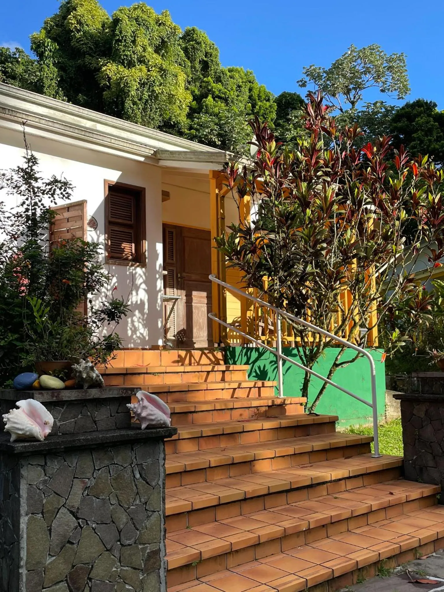 Property building in Les Cycas
