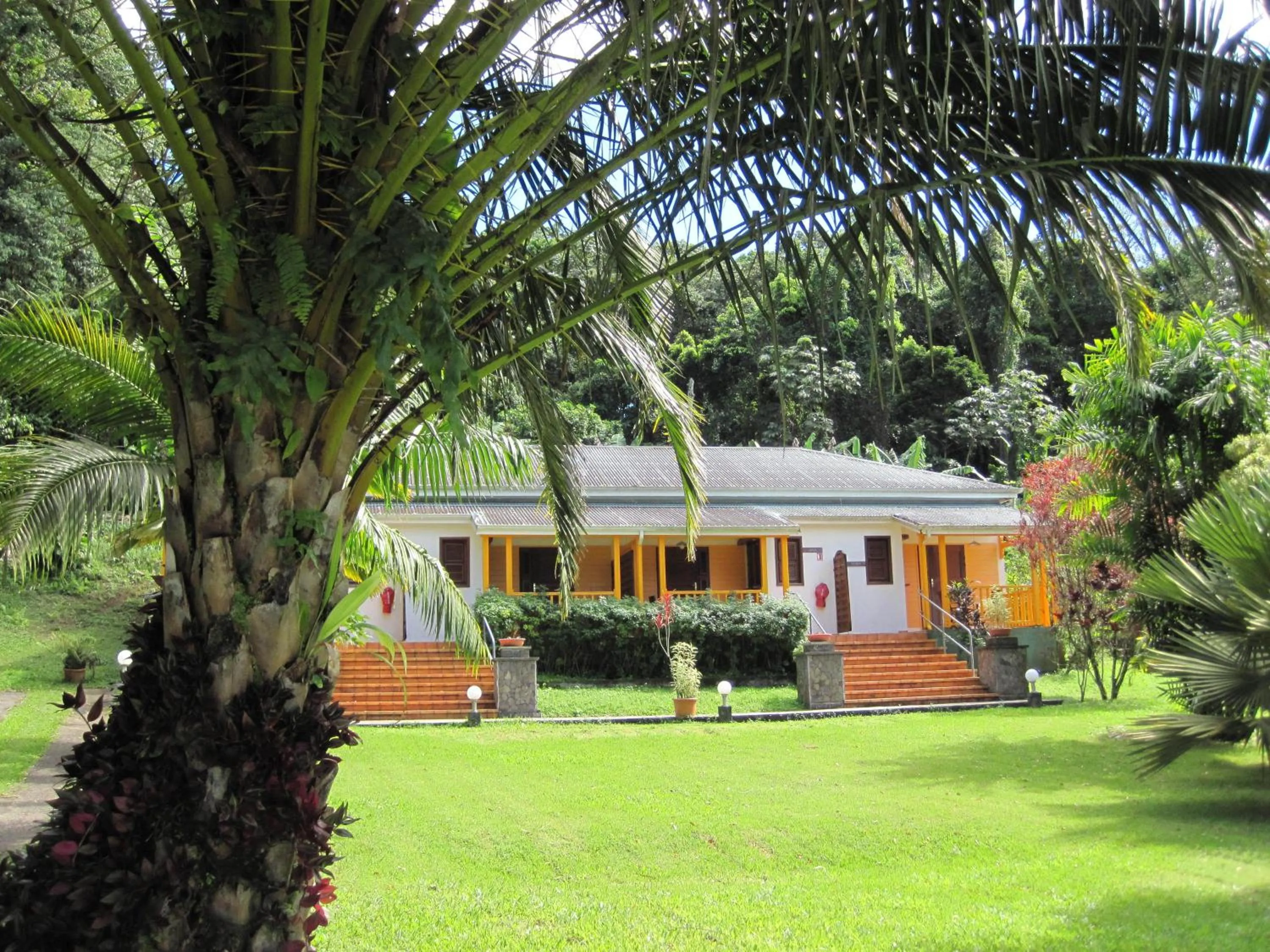 Property building in Les Cycas