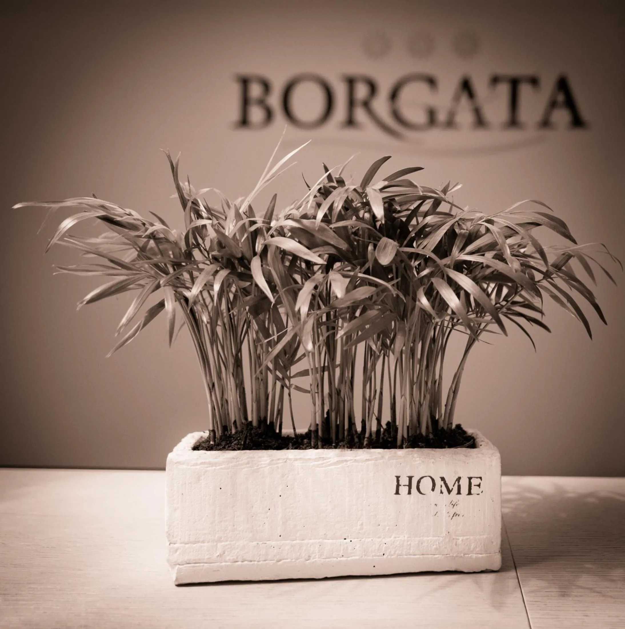 Other in Borgata