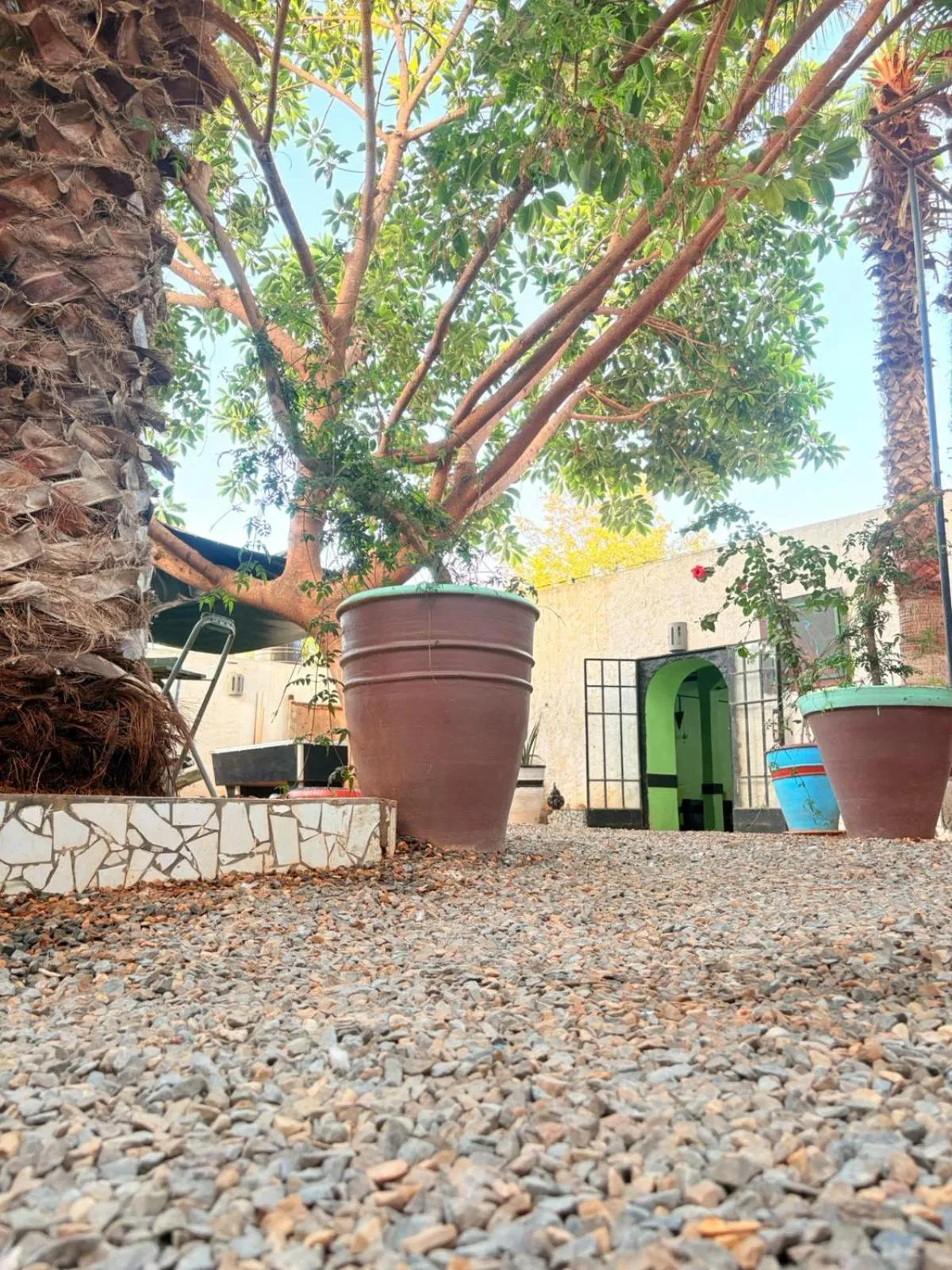 Day in ASARAG GUEST HOUSE, YOGA & Surf
