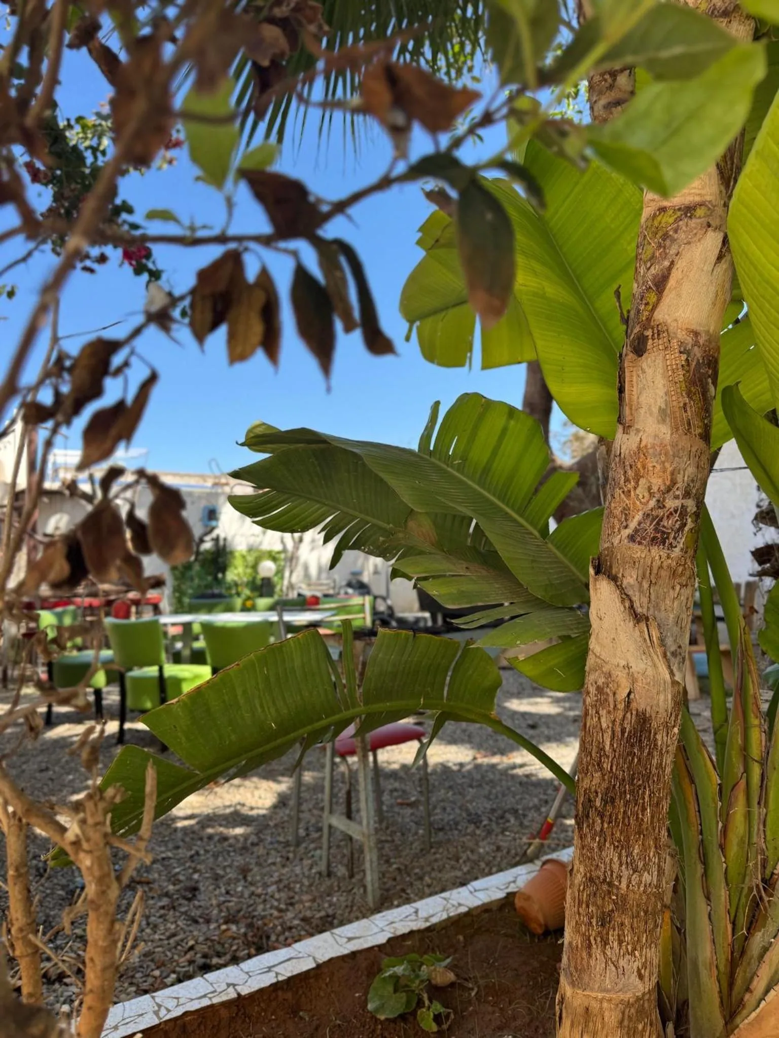 ASARAG GUEST HOUSE, YOGA & Surf