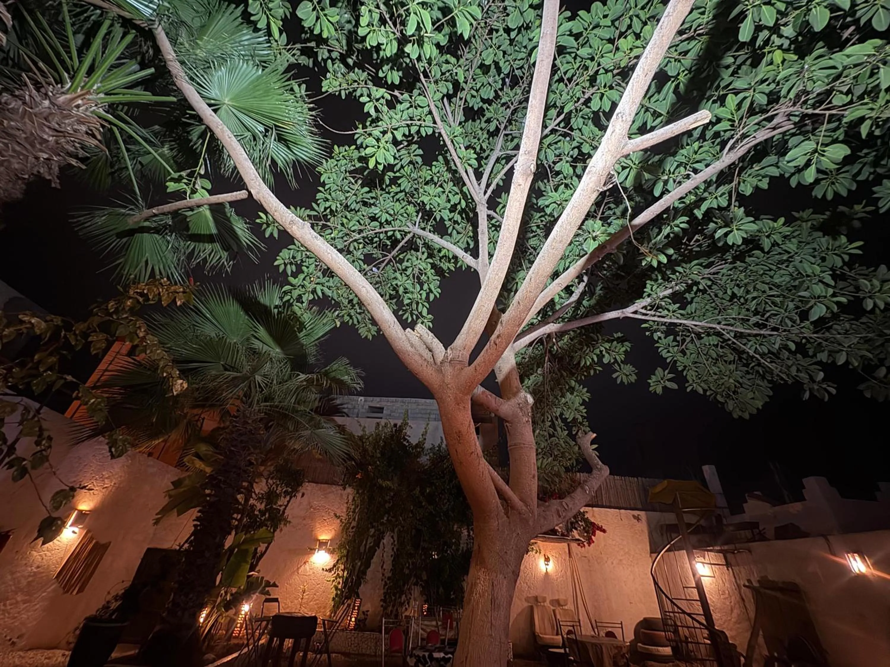 Night in ASARAG GUEST HOUSE, YOGA & Surf
