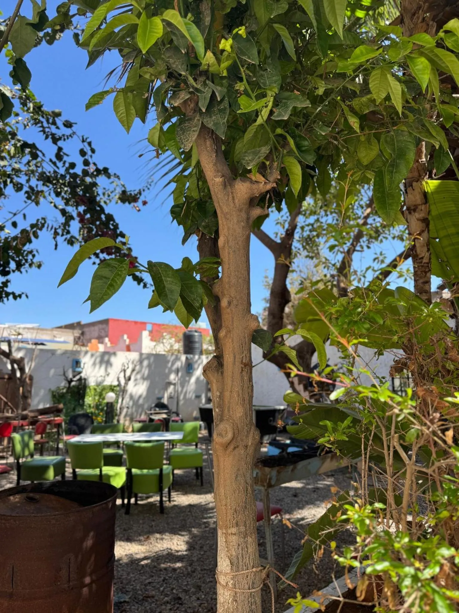 ASARAG GUEST HOUSE, YOGA & Surf