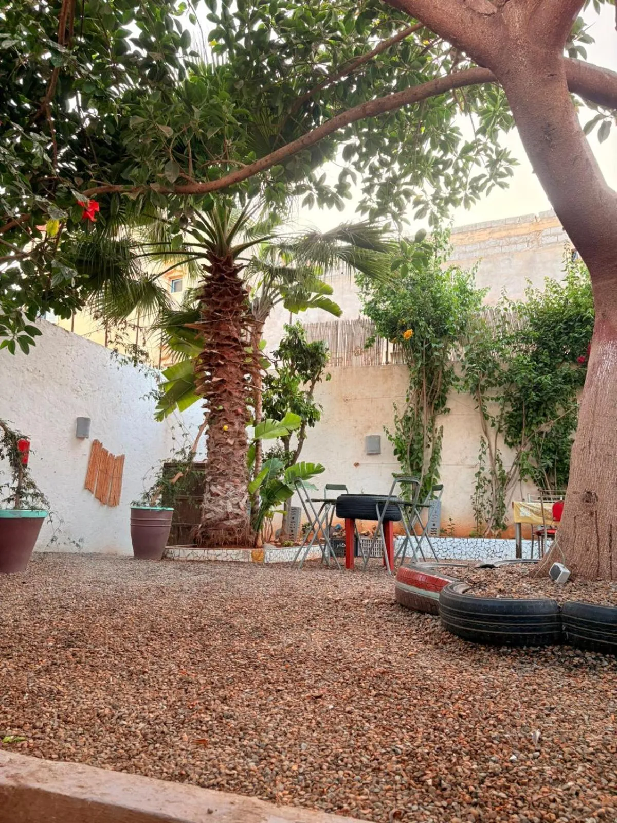 Day in ASARAG GUEST HOUSE, YOGA & Surf