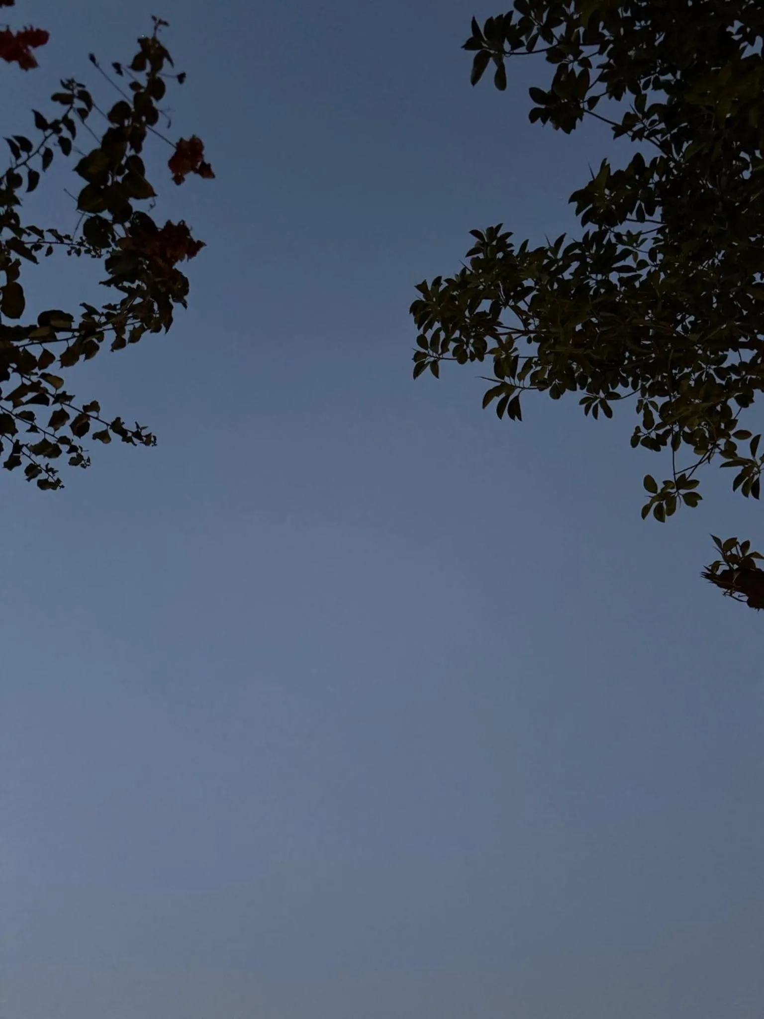 ASARAG GUEST HOUSE, YOGA & Surf