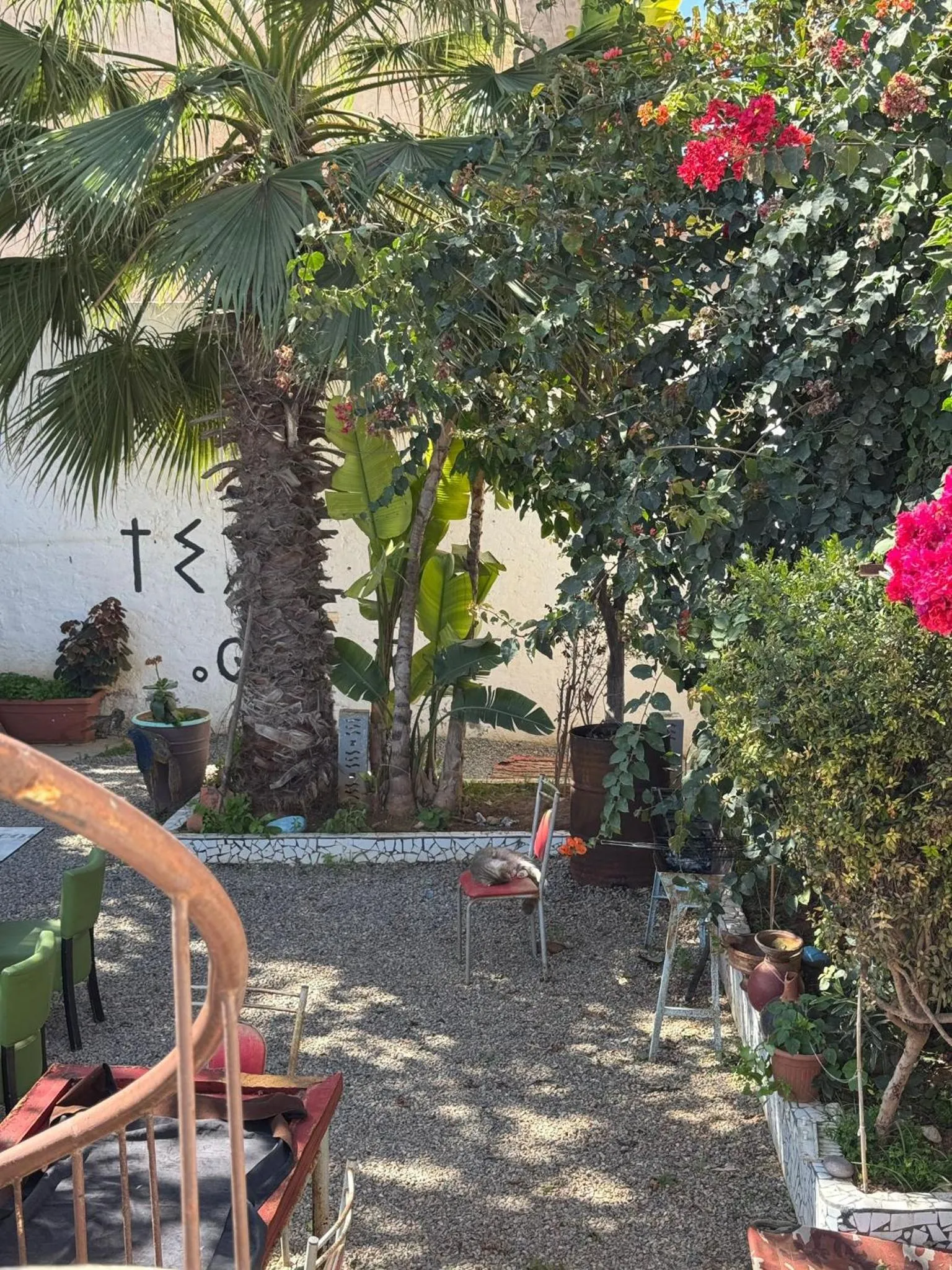 ASARAG GUEST HOUSE, YOGA & Surf