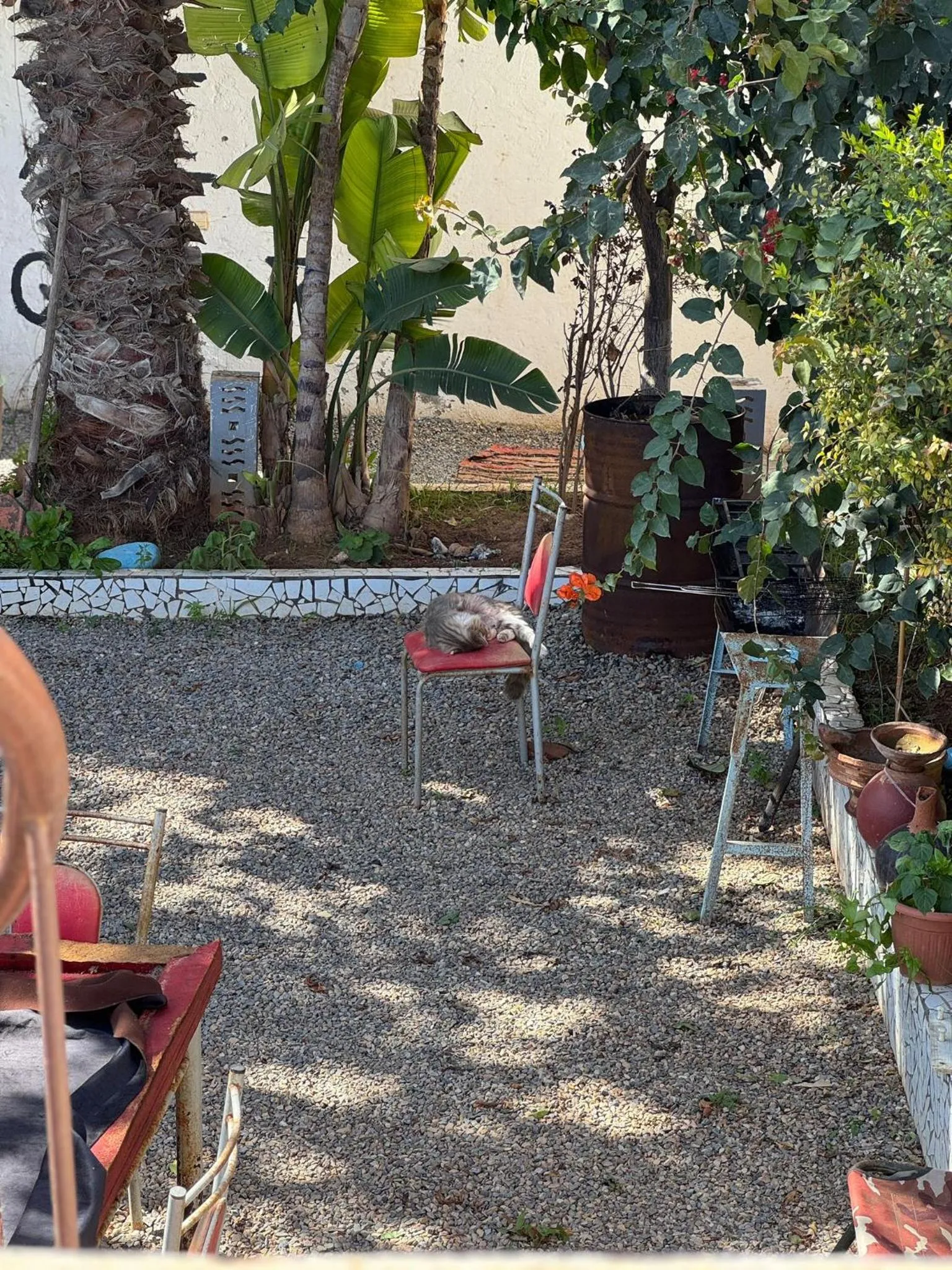 ASARAG GUEST HOUSE, YOGA & Surf