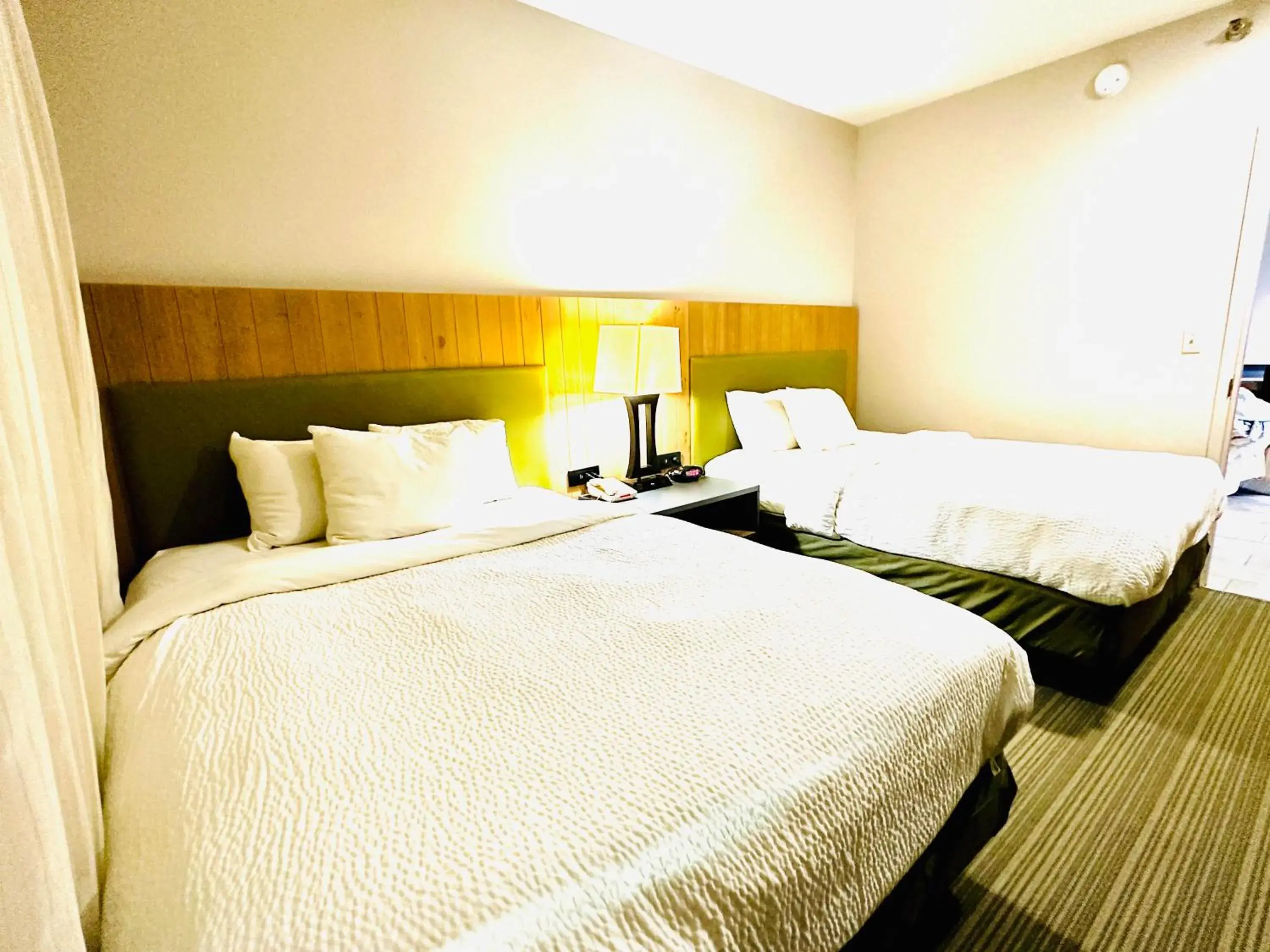 View (from property/room), Bed in Radiant Inn and Suites View (from property/room), Bed in Radiant Inn and Suites