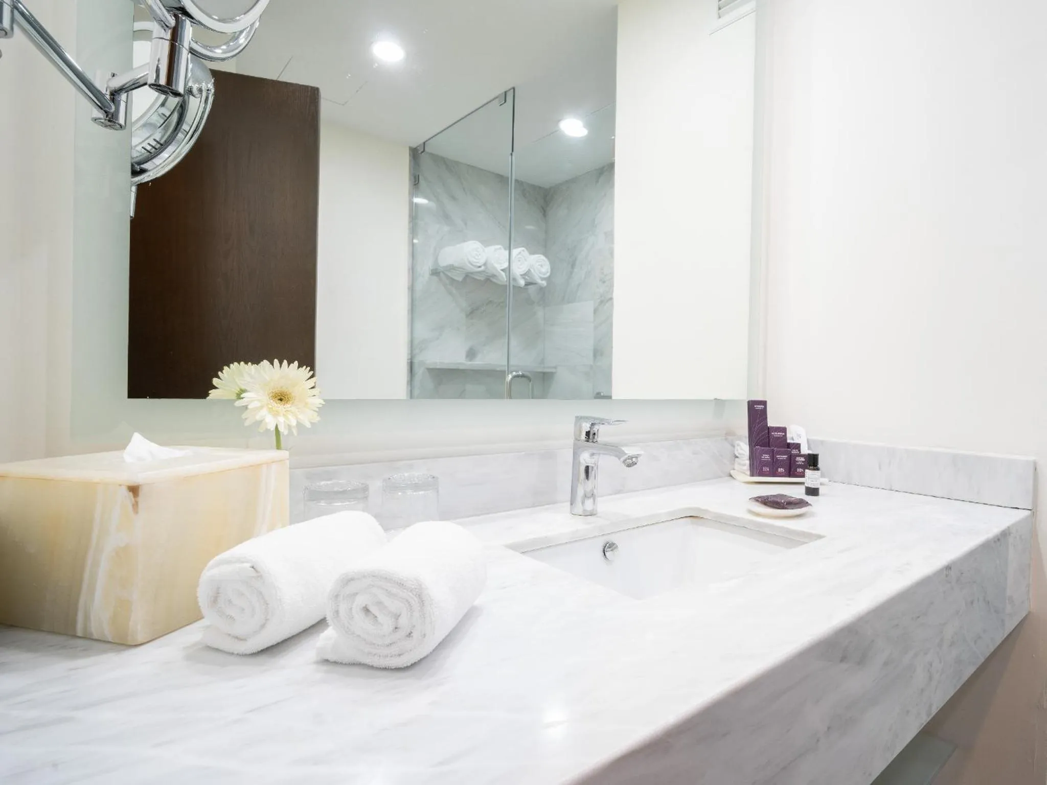 Bathroom in HS HOTSSON Hotel Queretaro