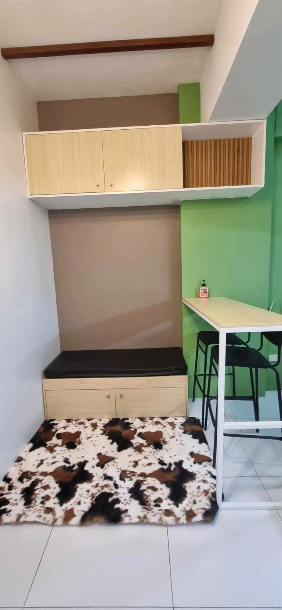 Naga City Stylish Condo