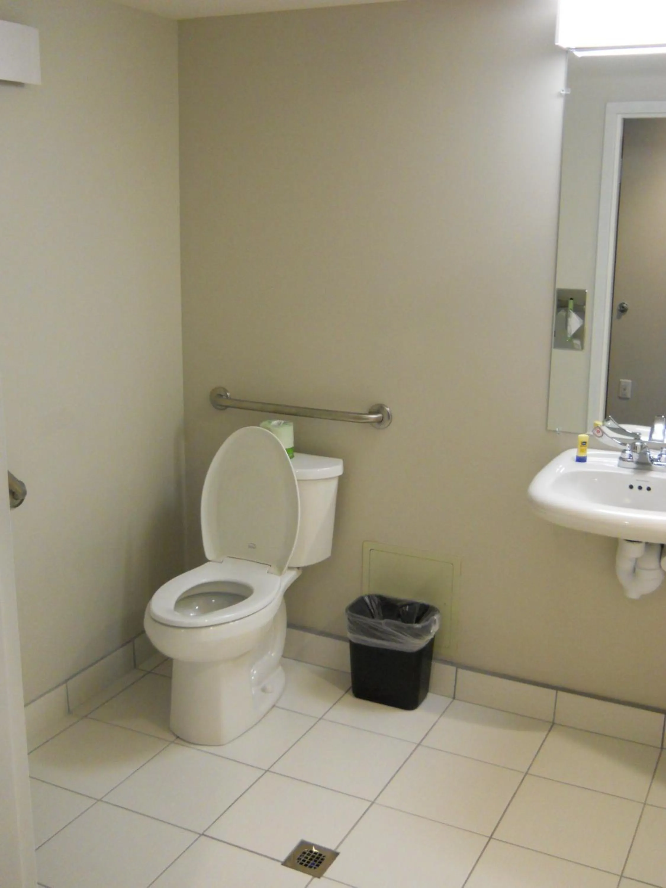 Toilet in Microtel Inn & Suites Sault Ste. Marie