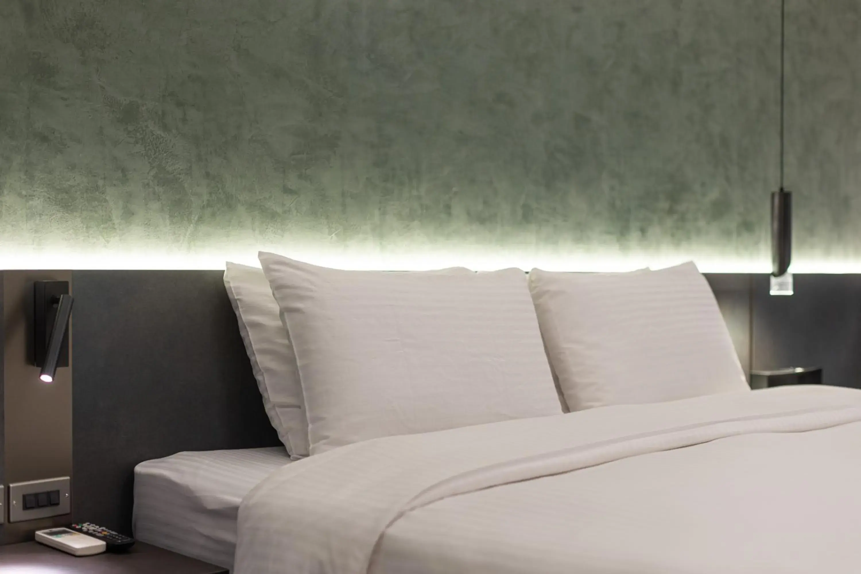 Standard Double Room in Green Hotel Standard Double Room in Green Hotel