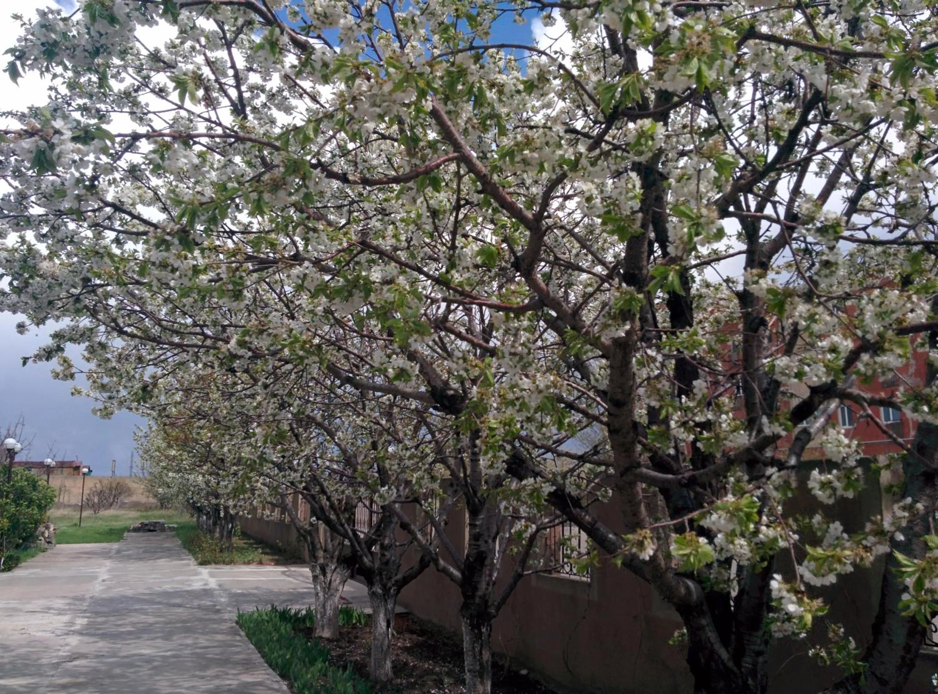 Spring in Erazank Hotel