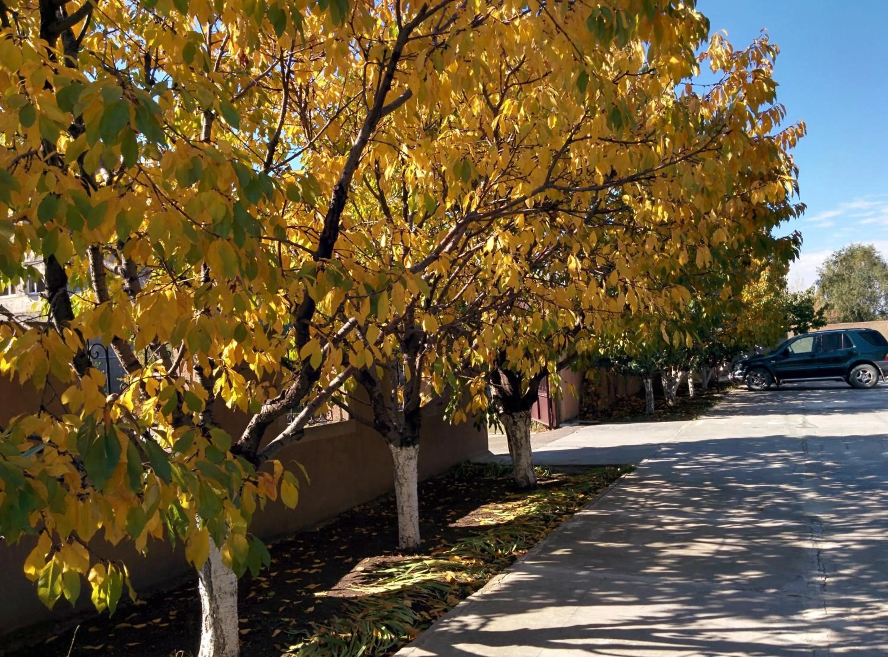 Garden in Erazank Hotel