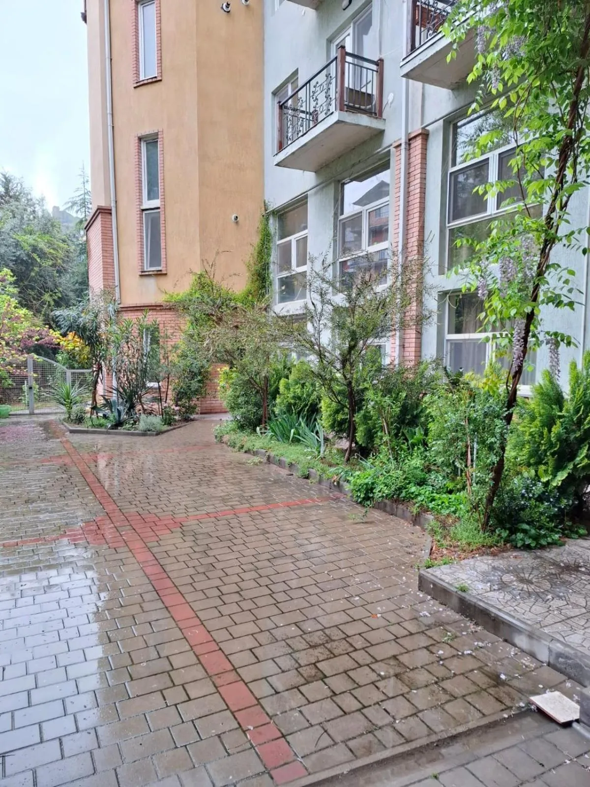 Property building in Red Fox Guesthouse