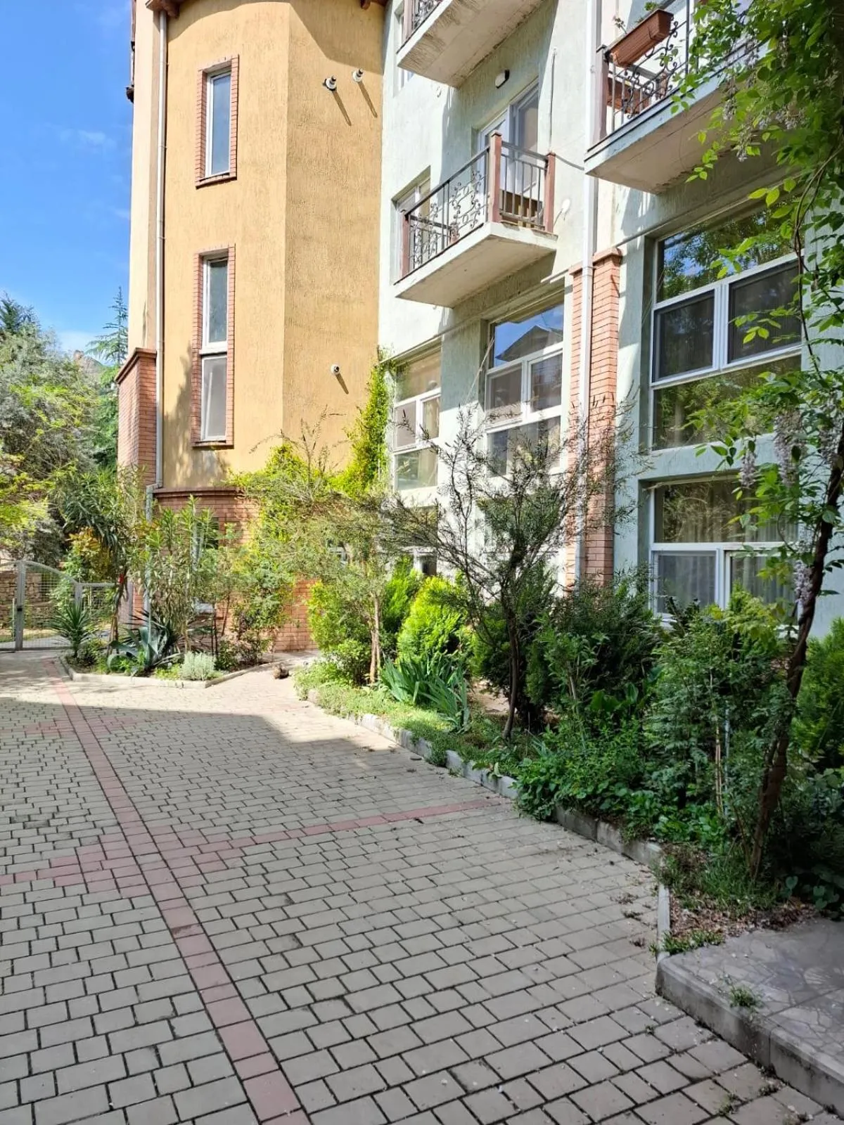 Day in Red Fox Guesthouse