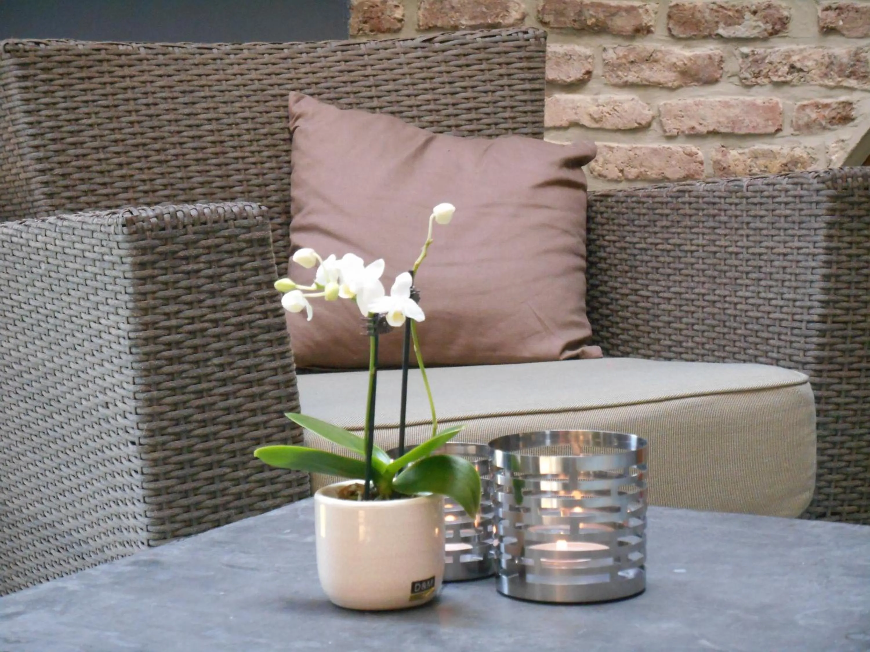 Patio in B&B A l'Ombre du Tilleul