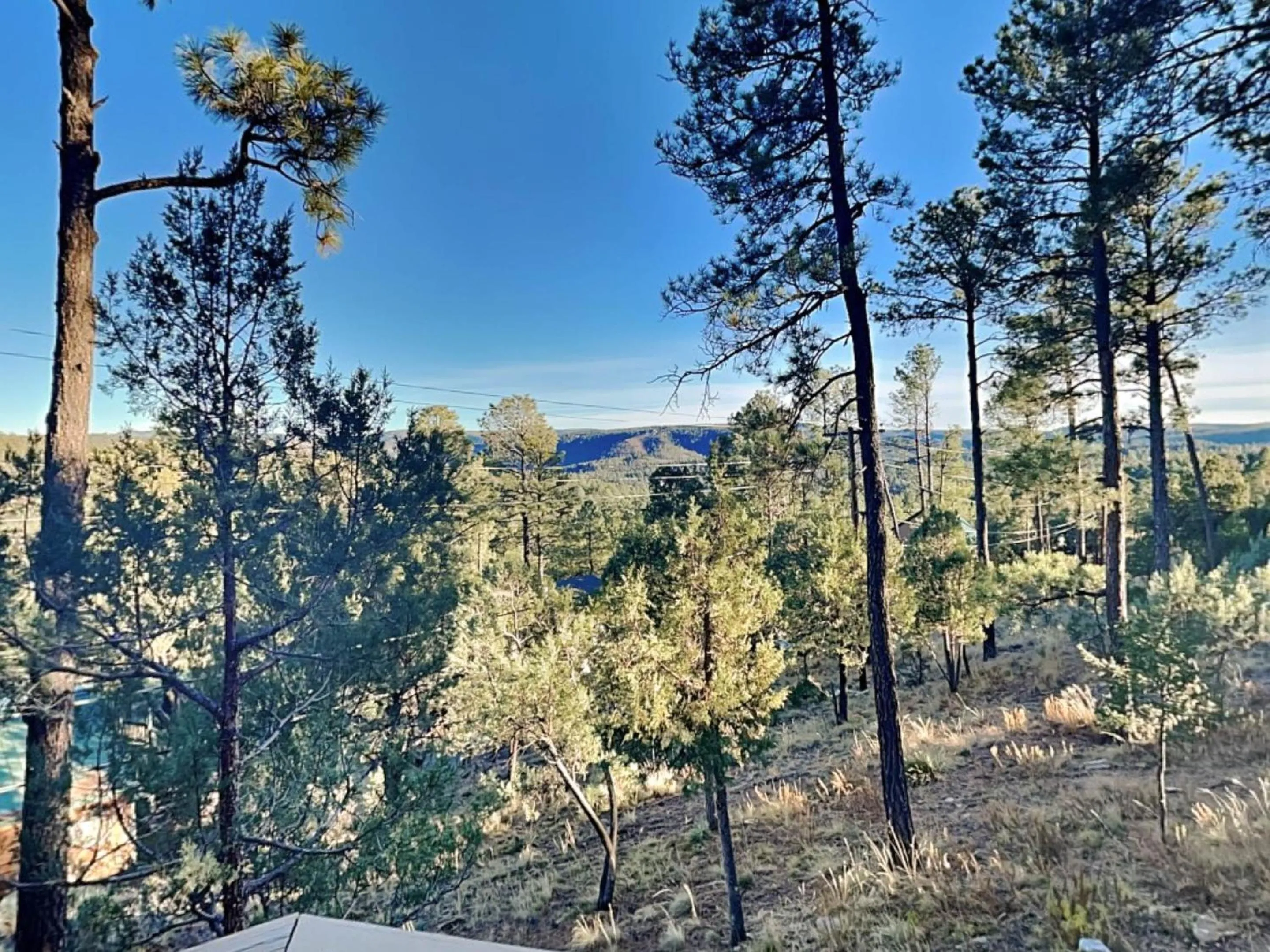 Property building in Ponderosa Paradise