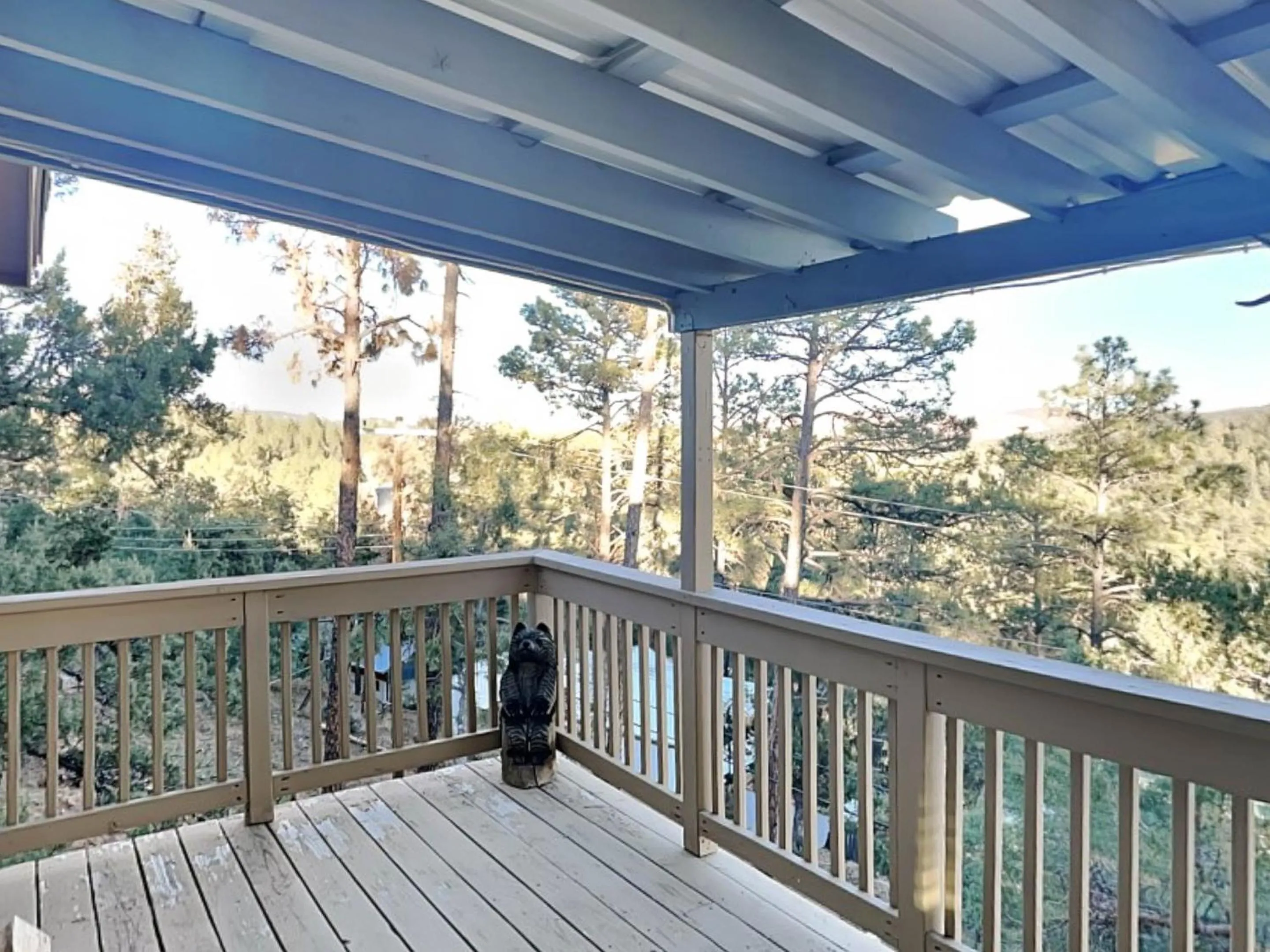 Property building in Ponderosa Paradise