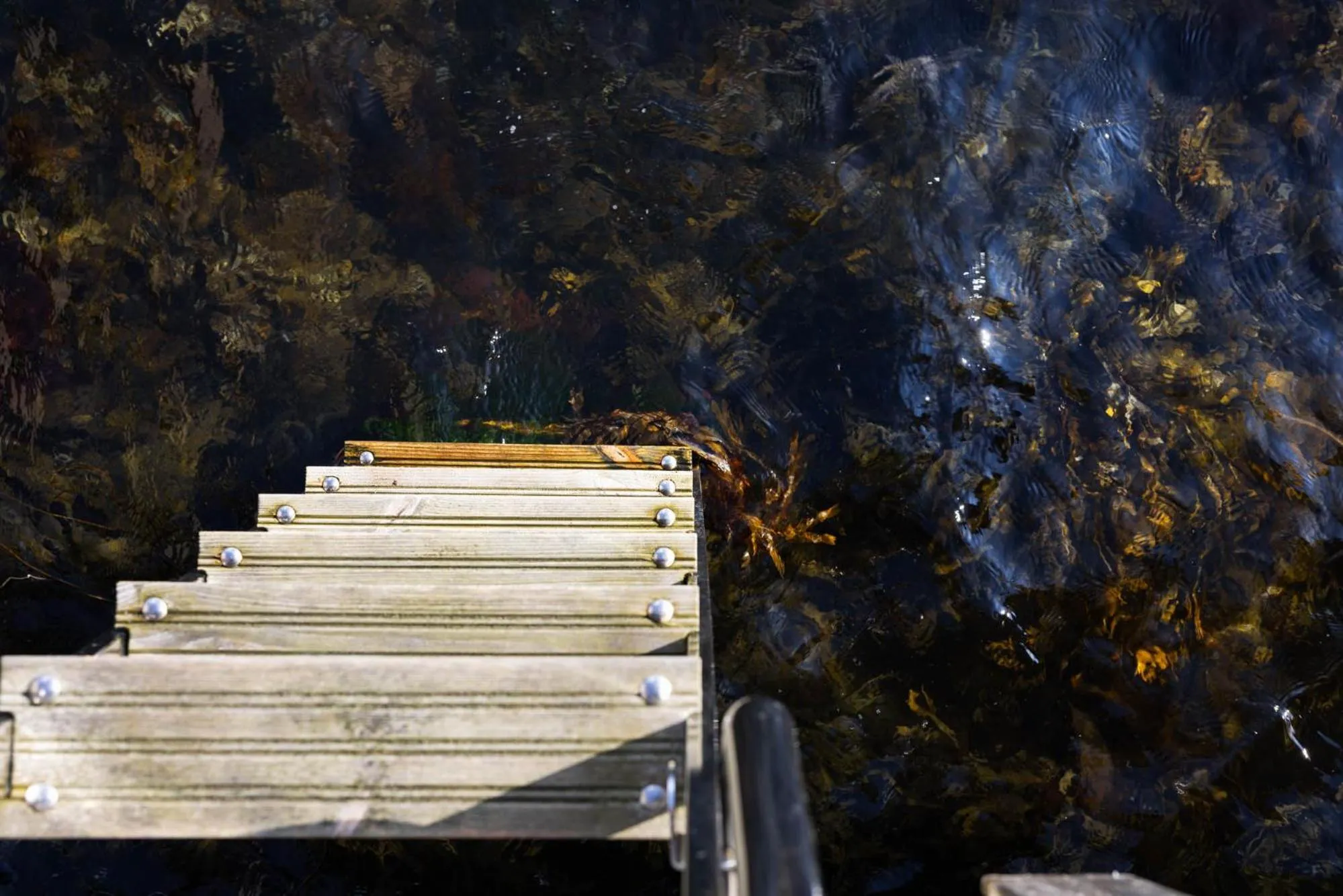 Property building in Strandflickornas Husen invid Havet