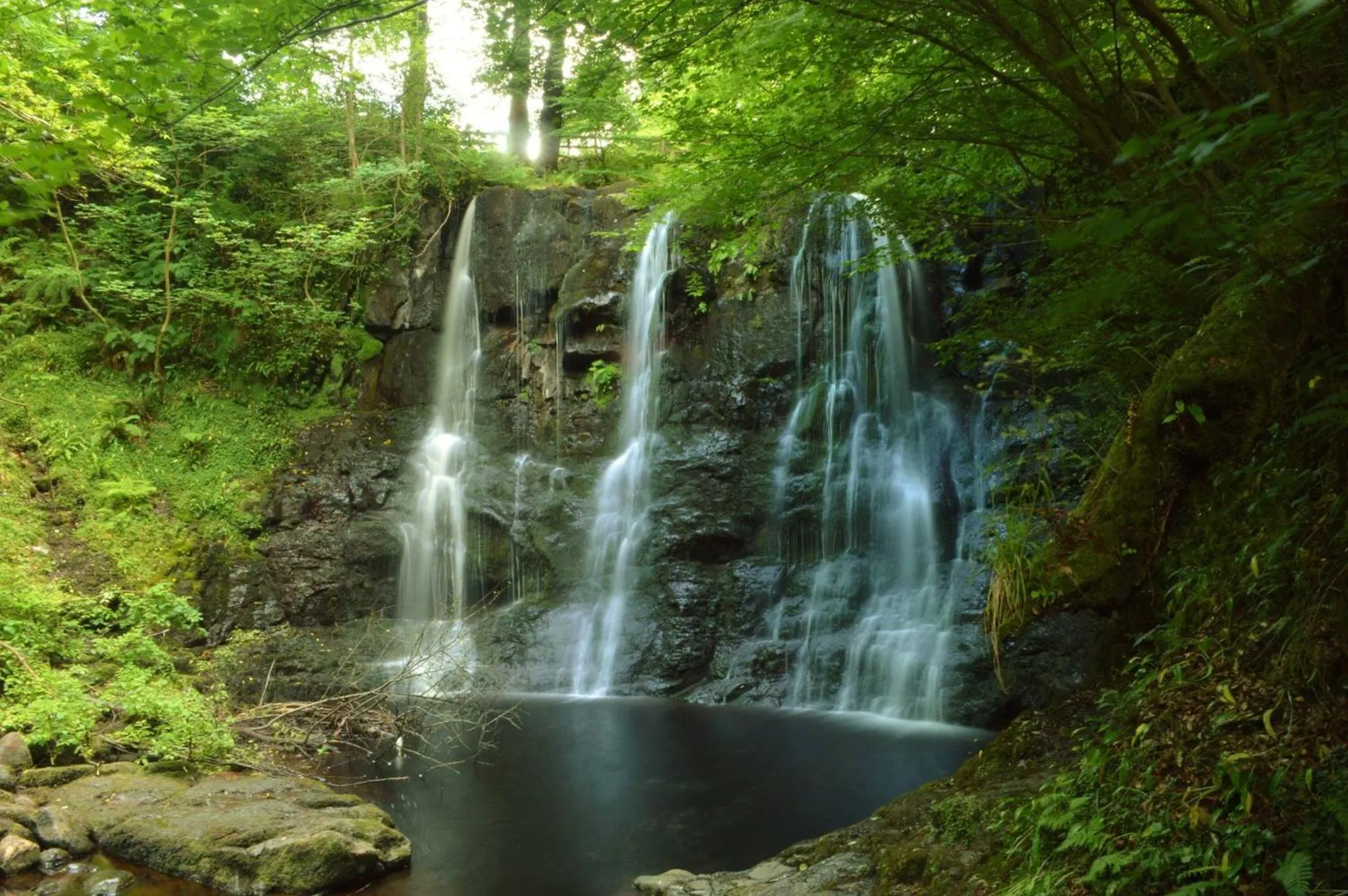 Glen Haven Bed and Breakfast