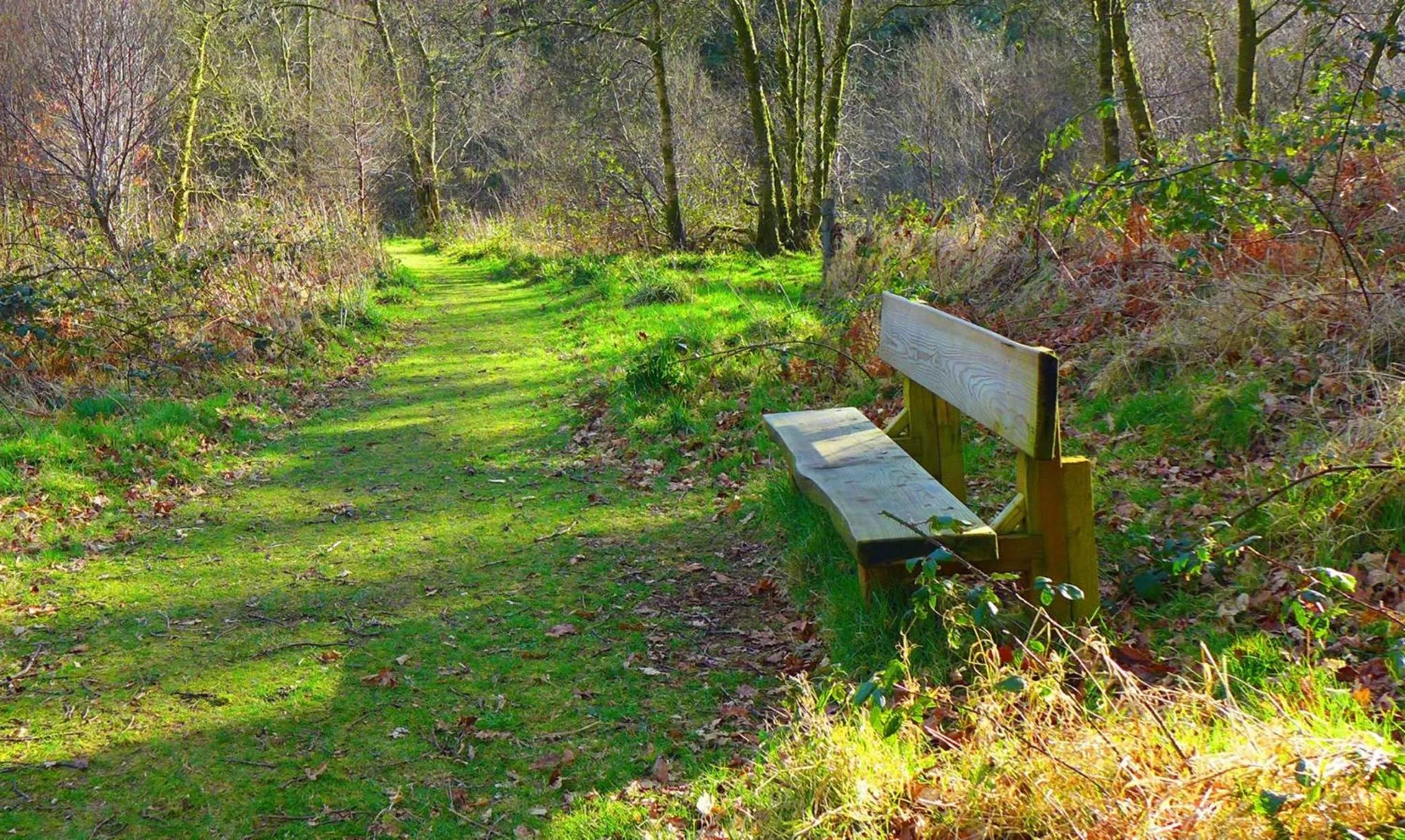 Glen Haven Bed and Breakfast