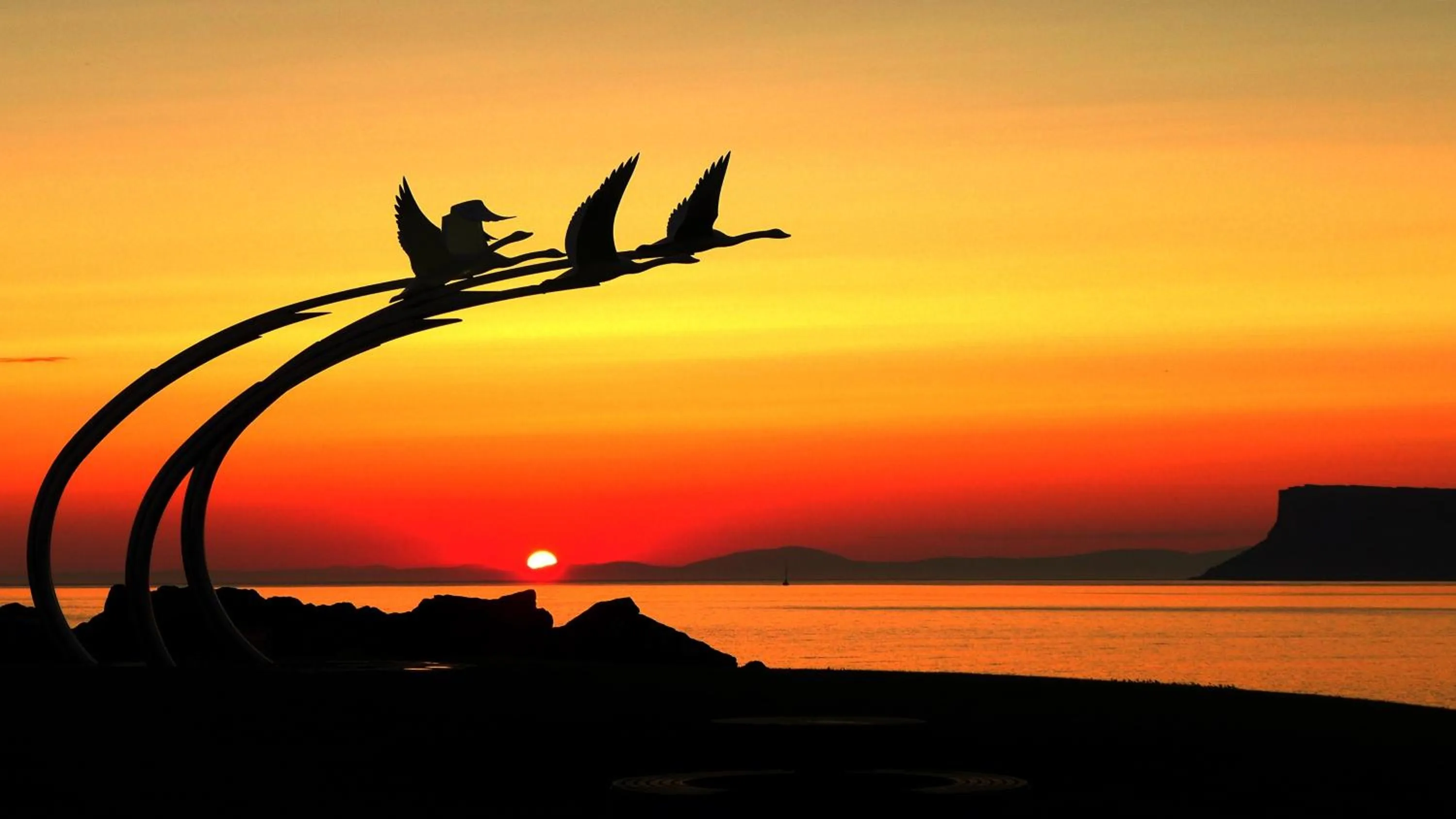 Natural landscape in Glen Haven Bed and Breakfast