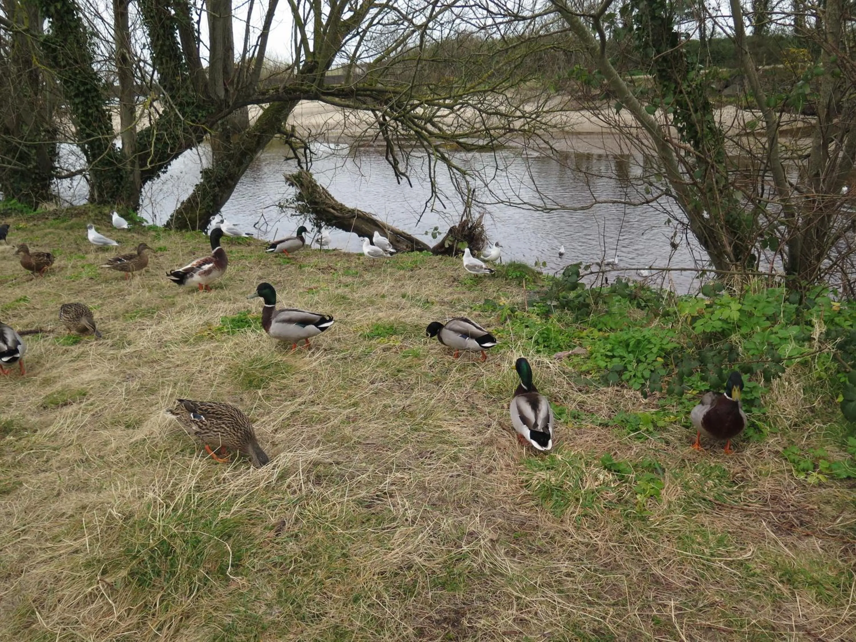 Property building in Glen Haven Bed and Breakfast
