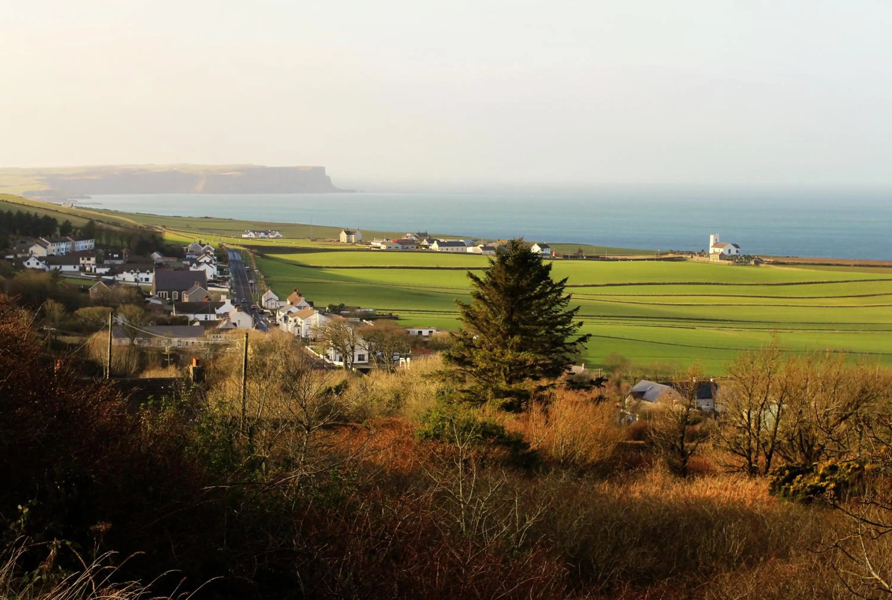Natural landscape in Glen Haven Bed and Breakfast