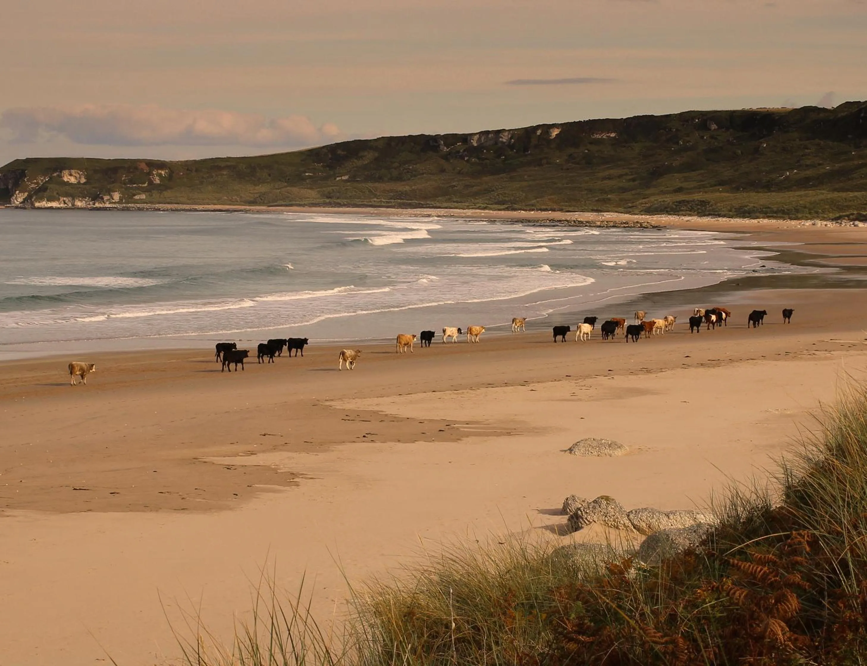 Glen Haven Bed and Breakfast