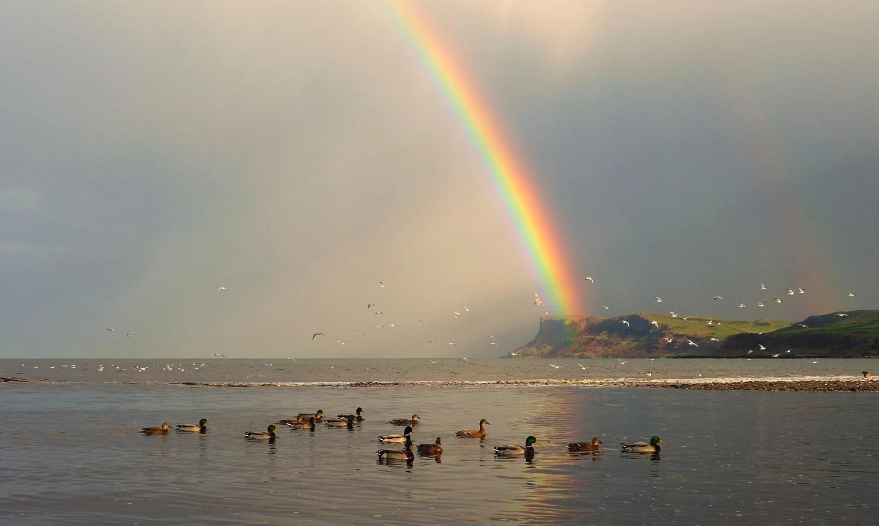 Glen Haven Bed and Breakfast