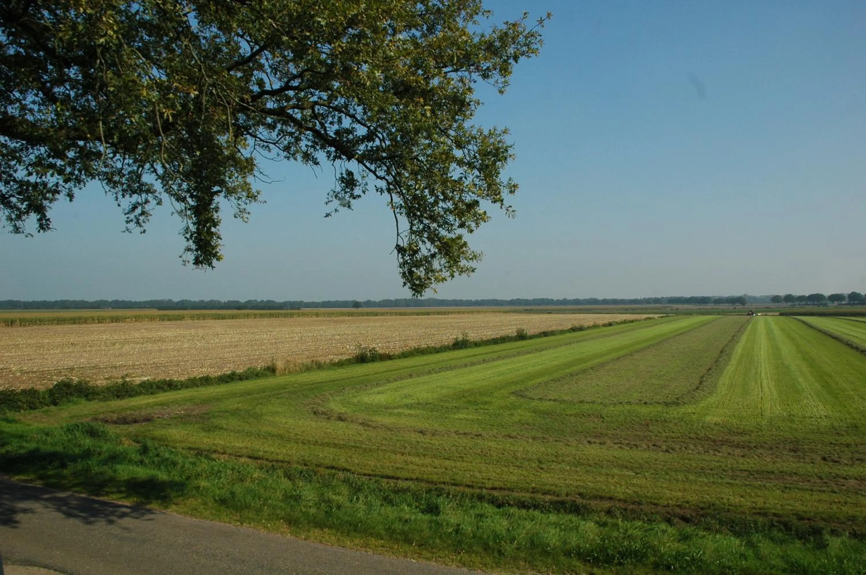 Area and facilities in Huize Ouwervelden