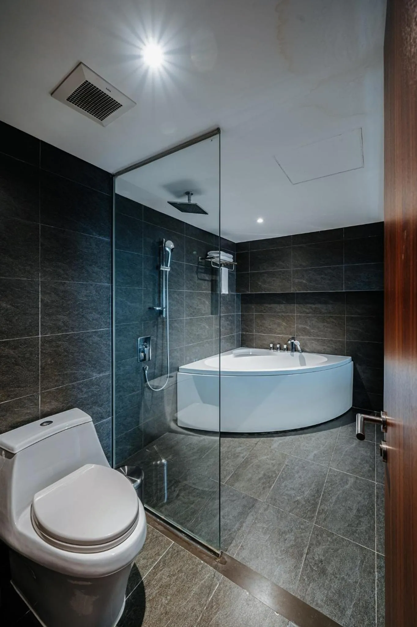Toilet in PentStudio Duplex Apartment