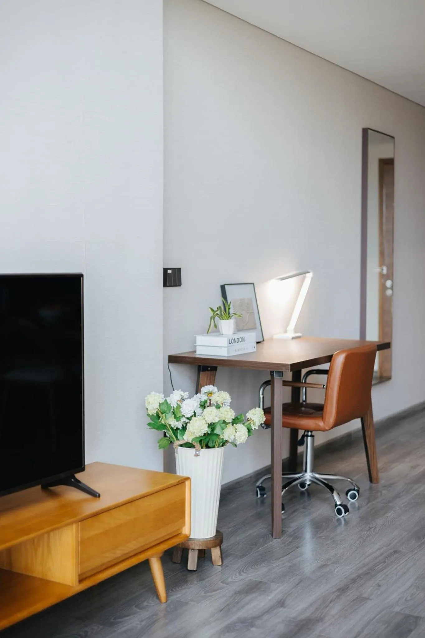TV and multimedia in PentStudio Duplex Apartment