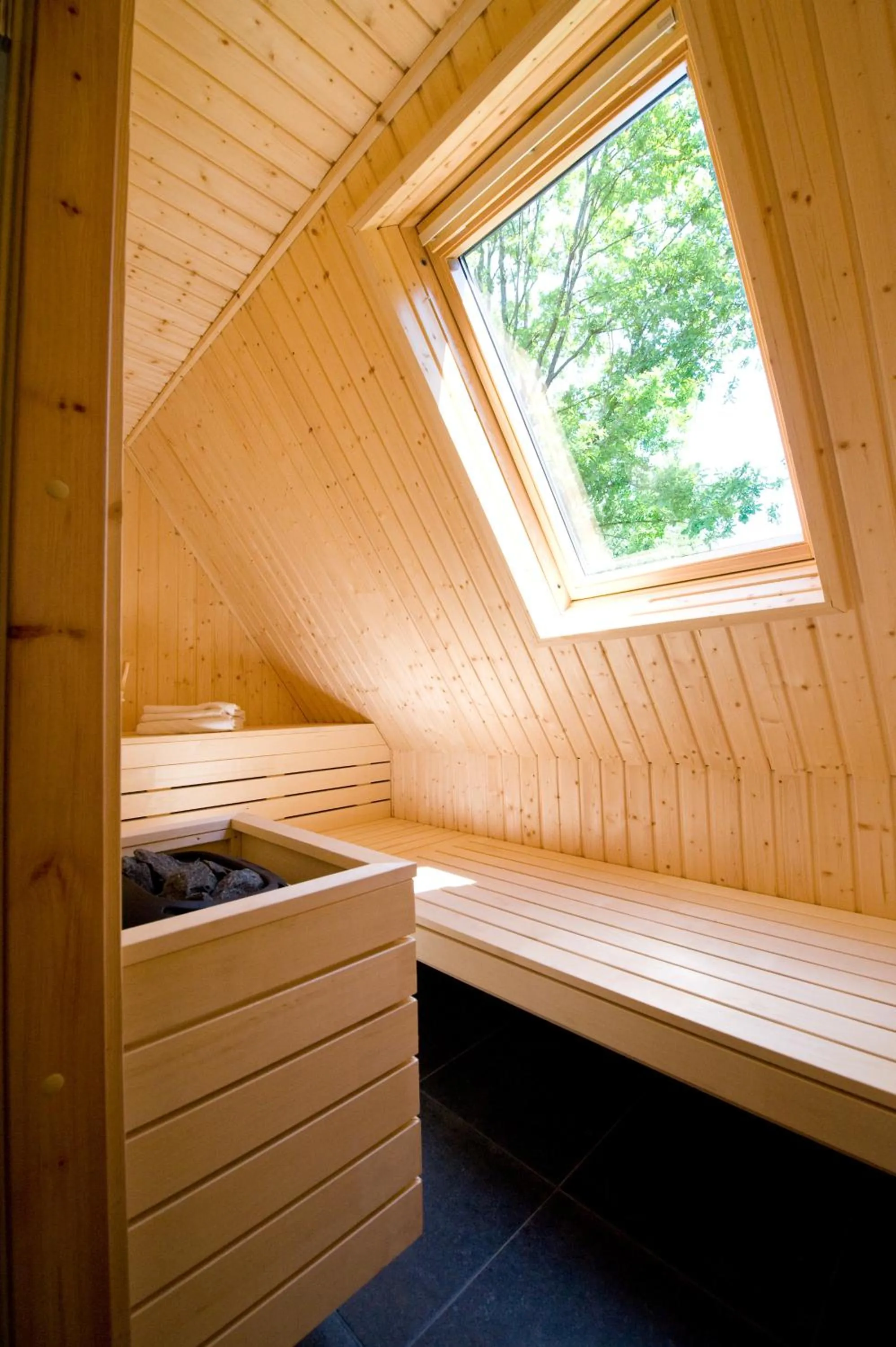 Spa and wellness centre/facilities in Hof van Salland Hellendoorn