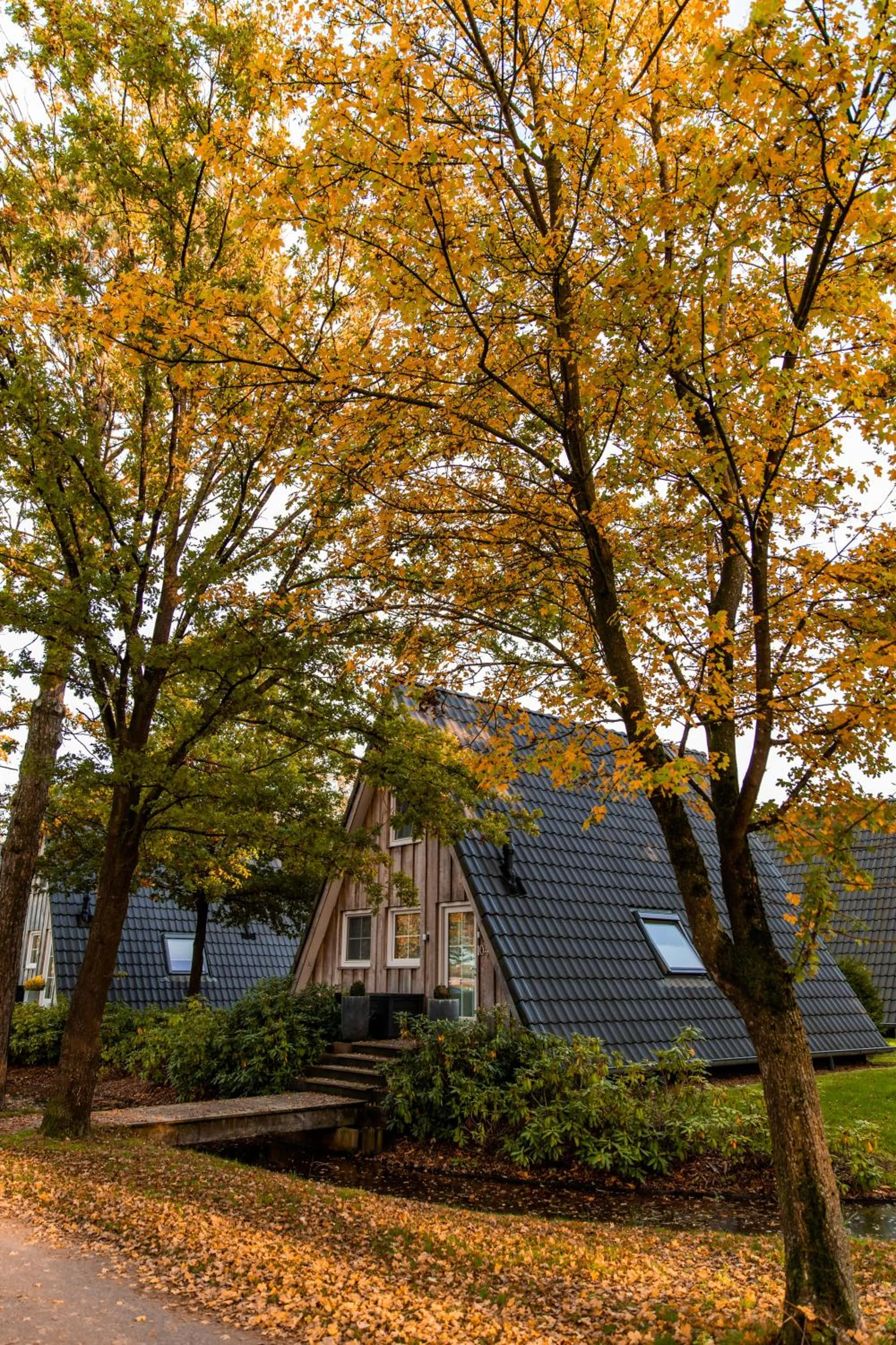 Hof van Salland Hellendoorn