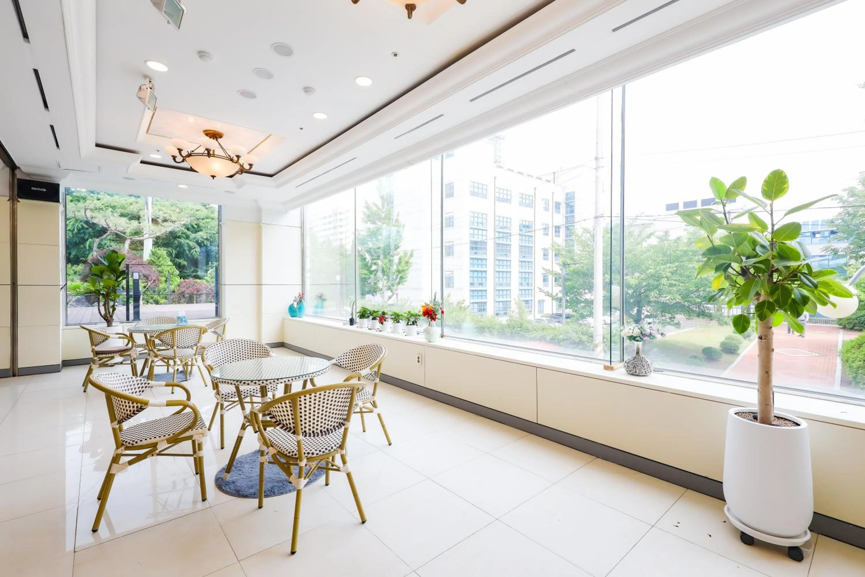 Restaurant/places to eat in Hotel KABO