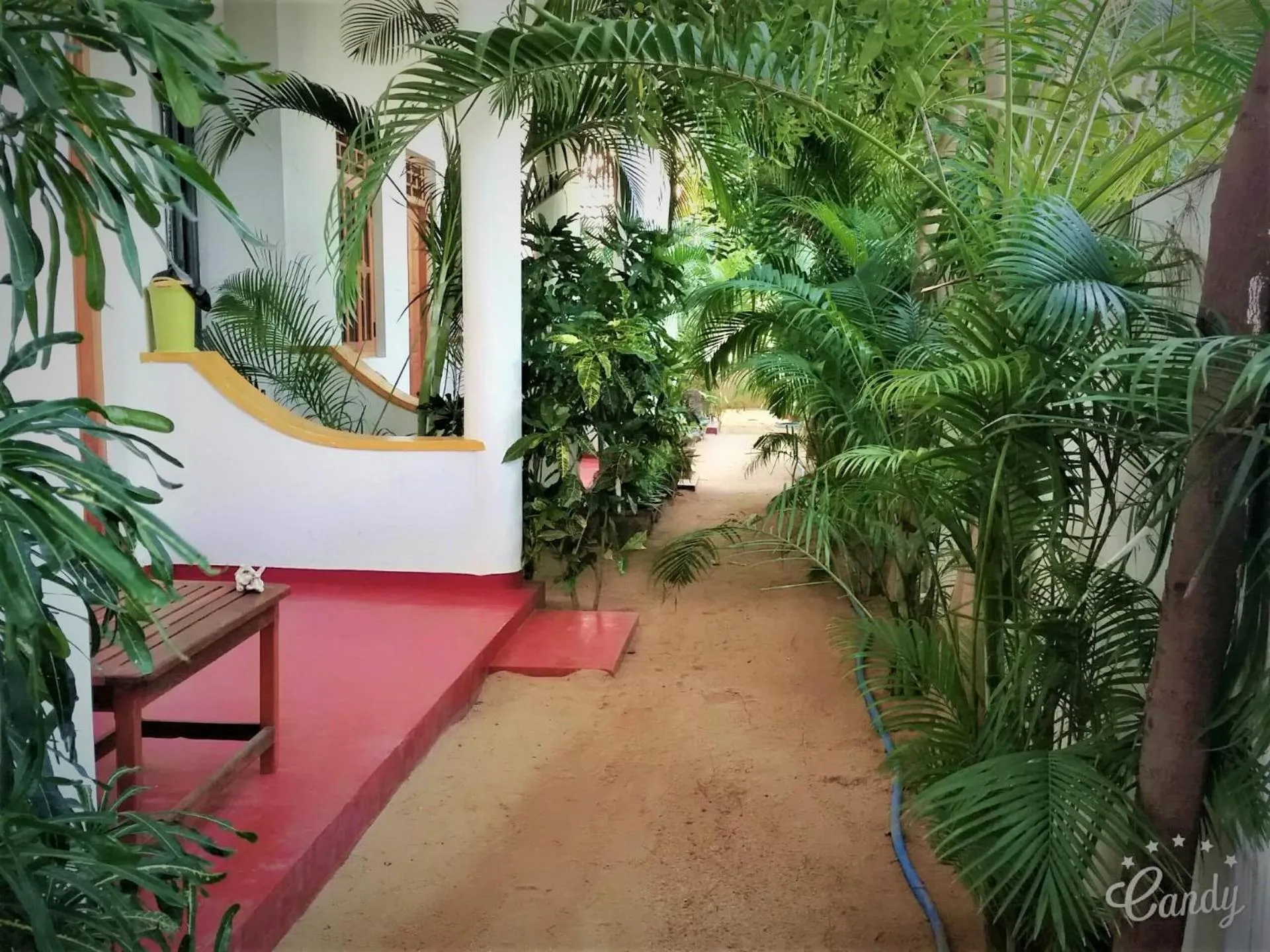 SURF & SAND Hotel Arugambay