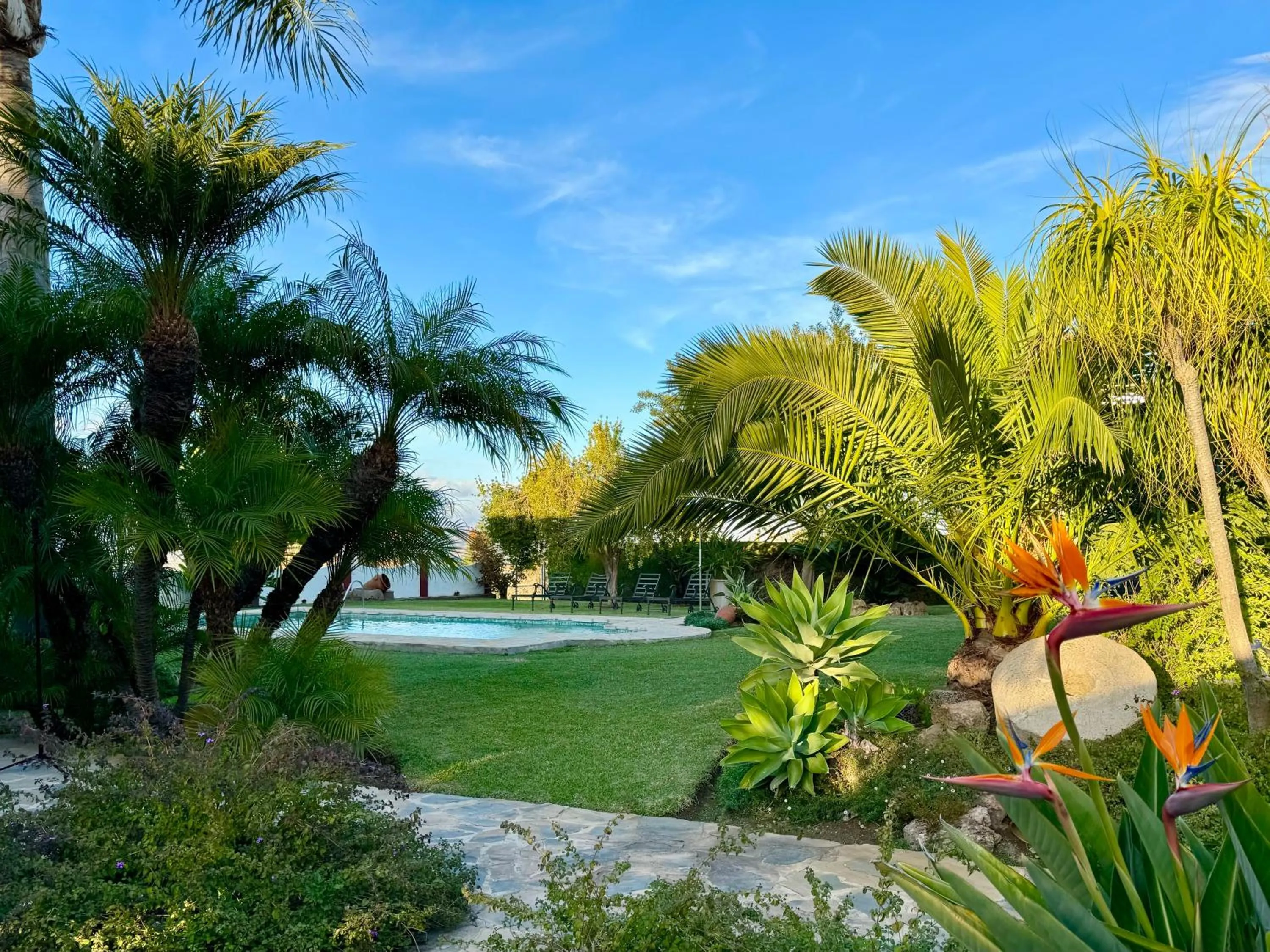Garden in Villa La Cuesta