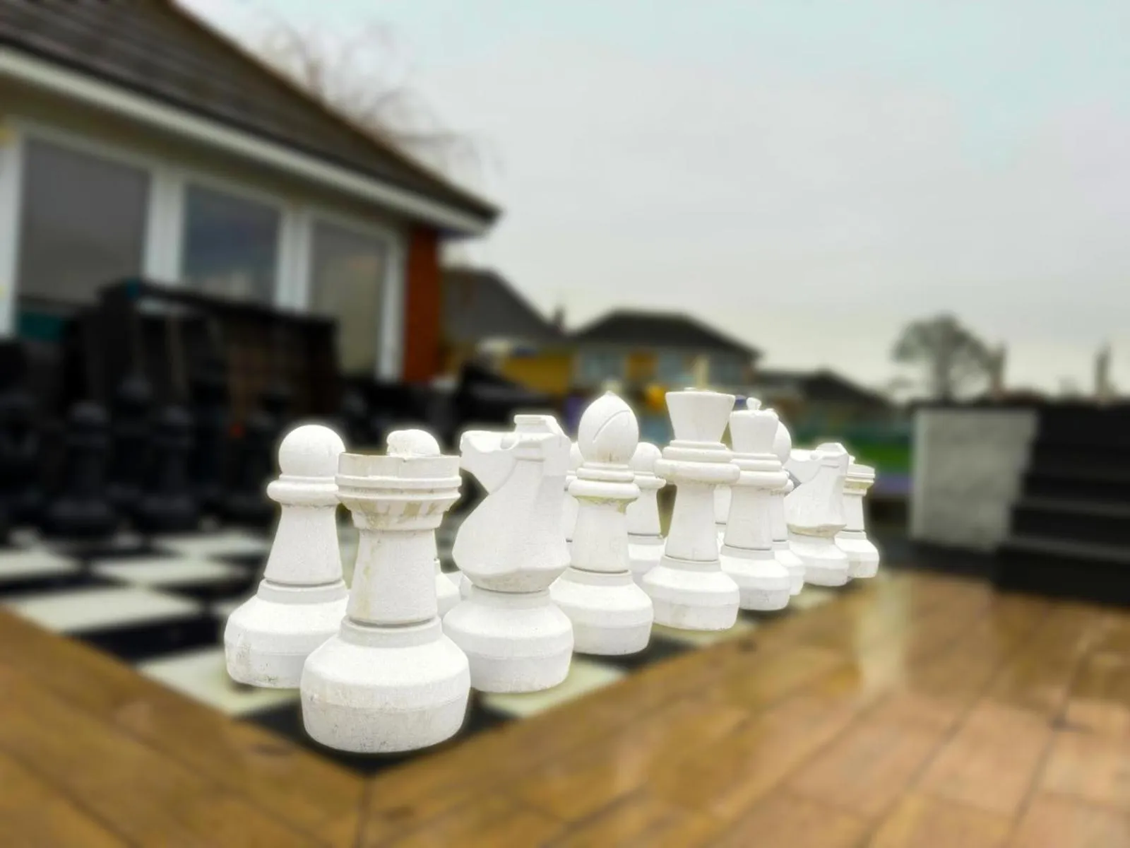 Activities in The Firs