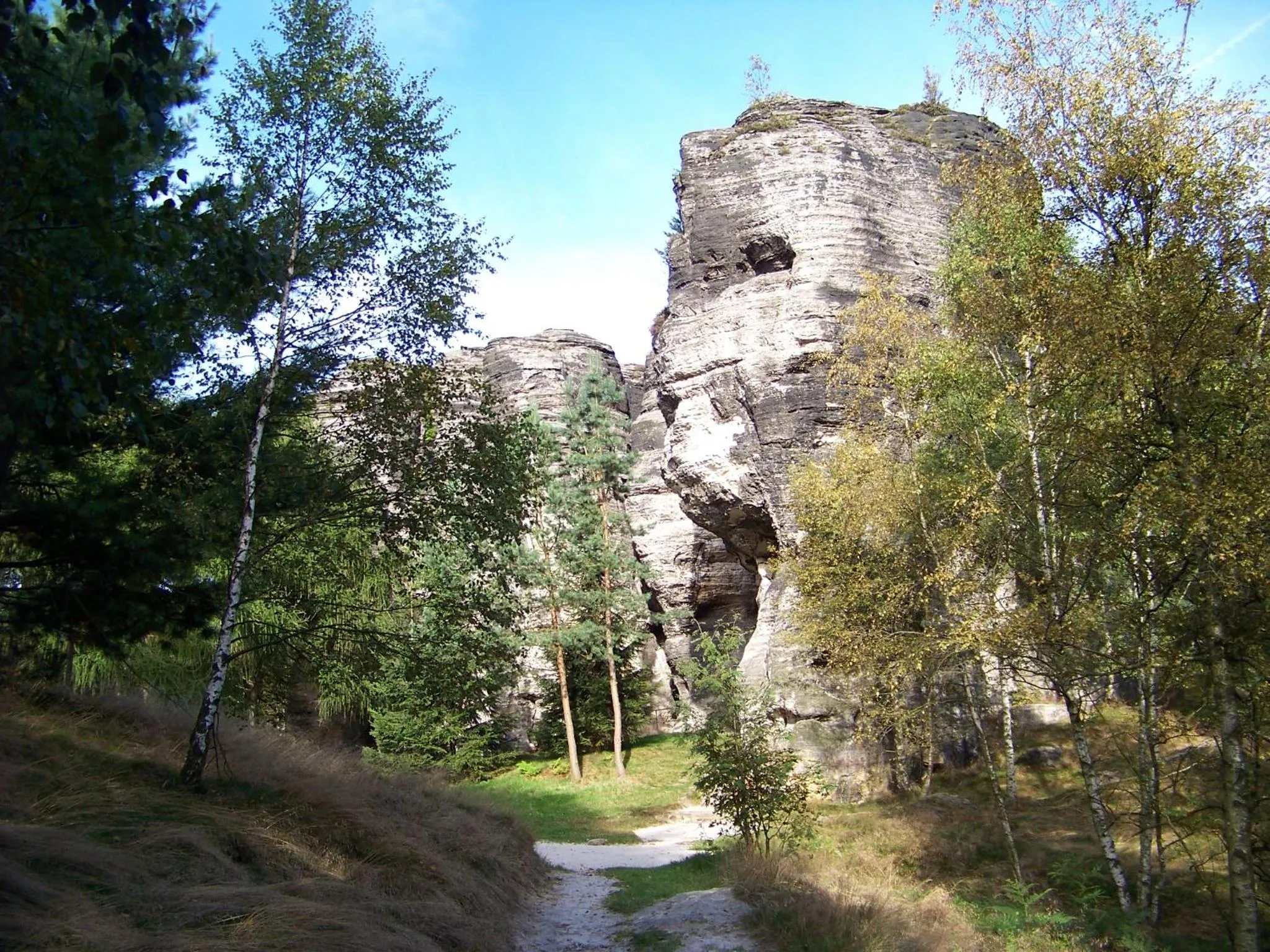 Nearby landmark in Tisá 488