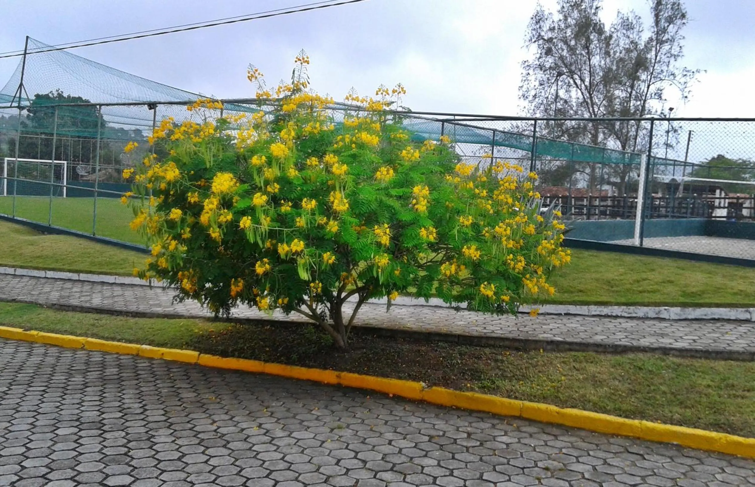 Flat no Villa Hípica - Gravatá