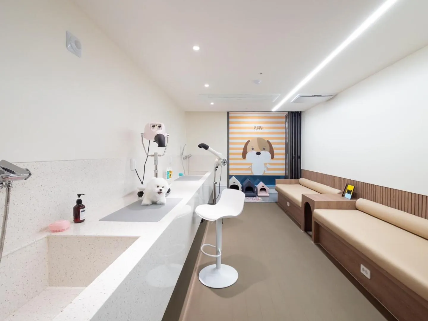 Animals in Allzip Archieve4H Residence hotel Busan