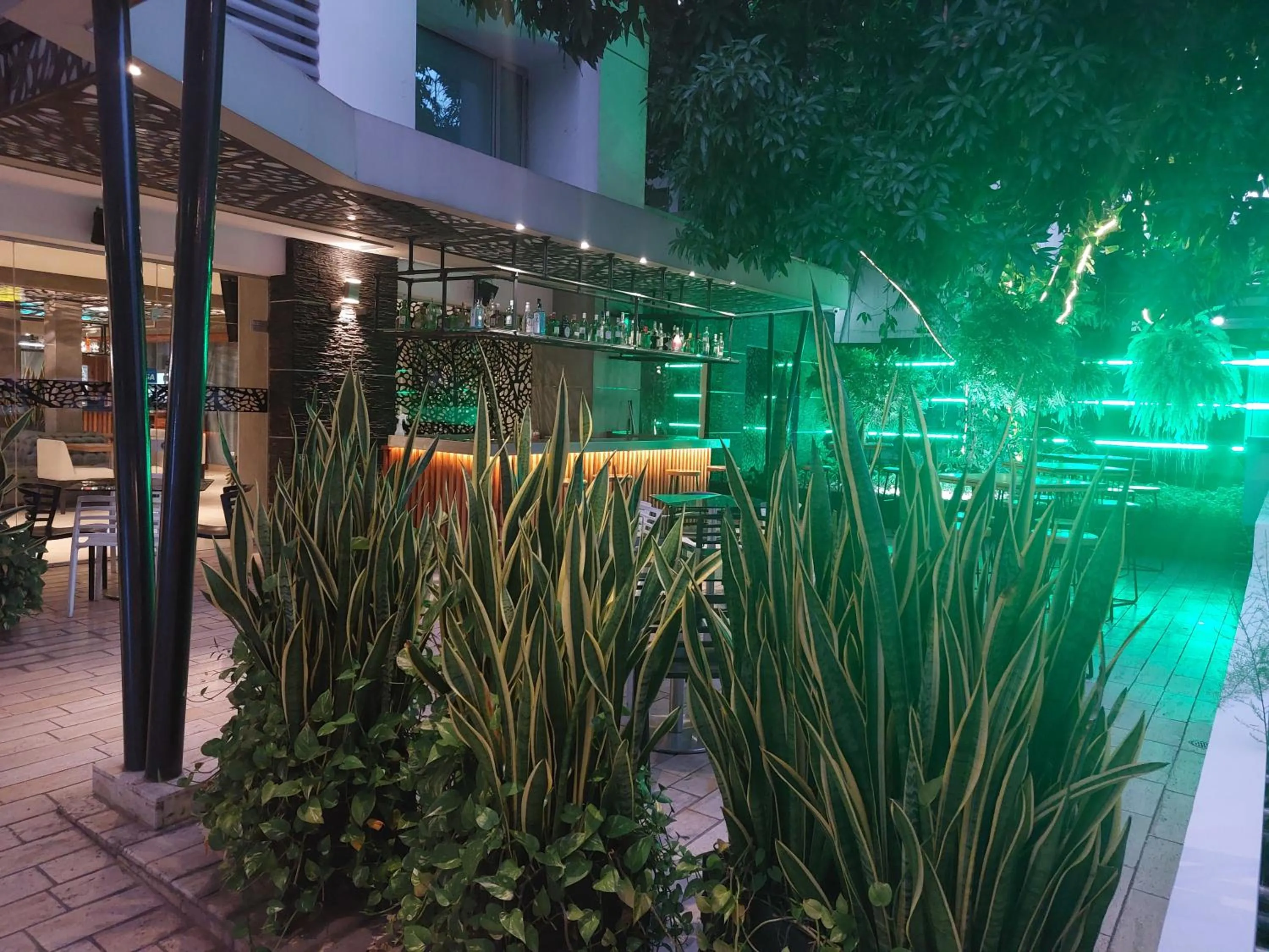 Lounge or bar in Washington Plaza