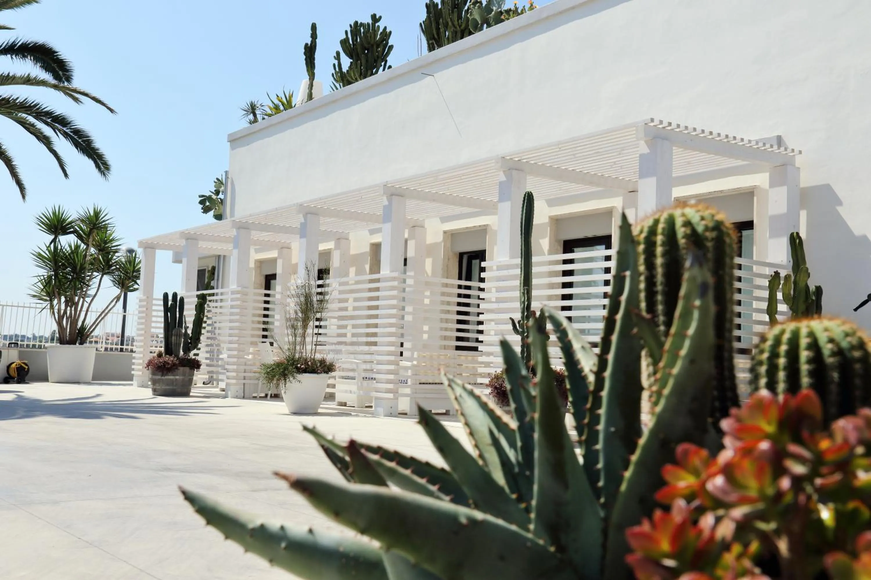 Facade/entrance in La Bella Trani - Suites and B&B