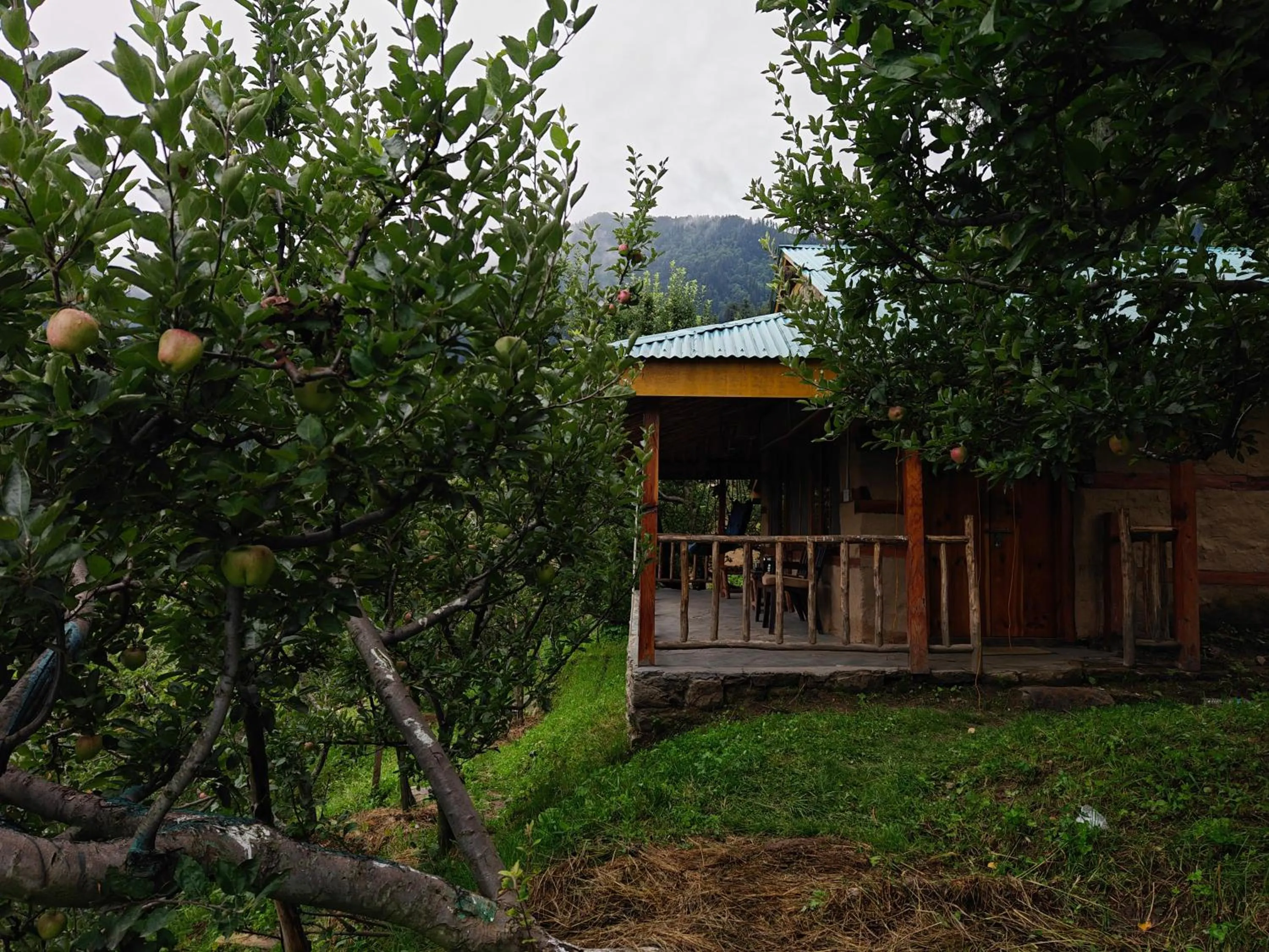 Property building in Upepo - The Sky Village