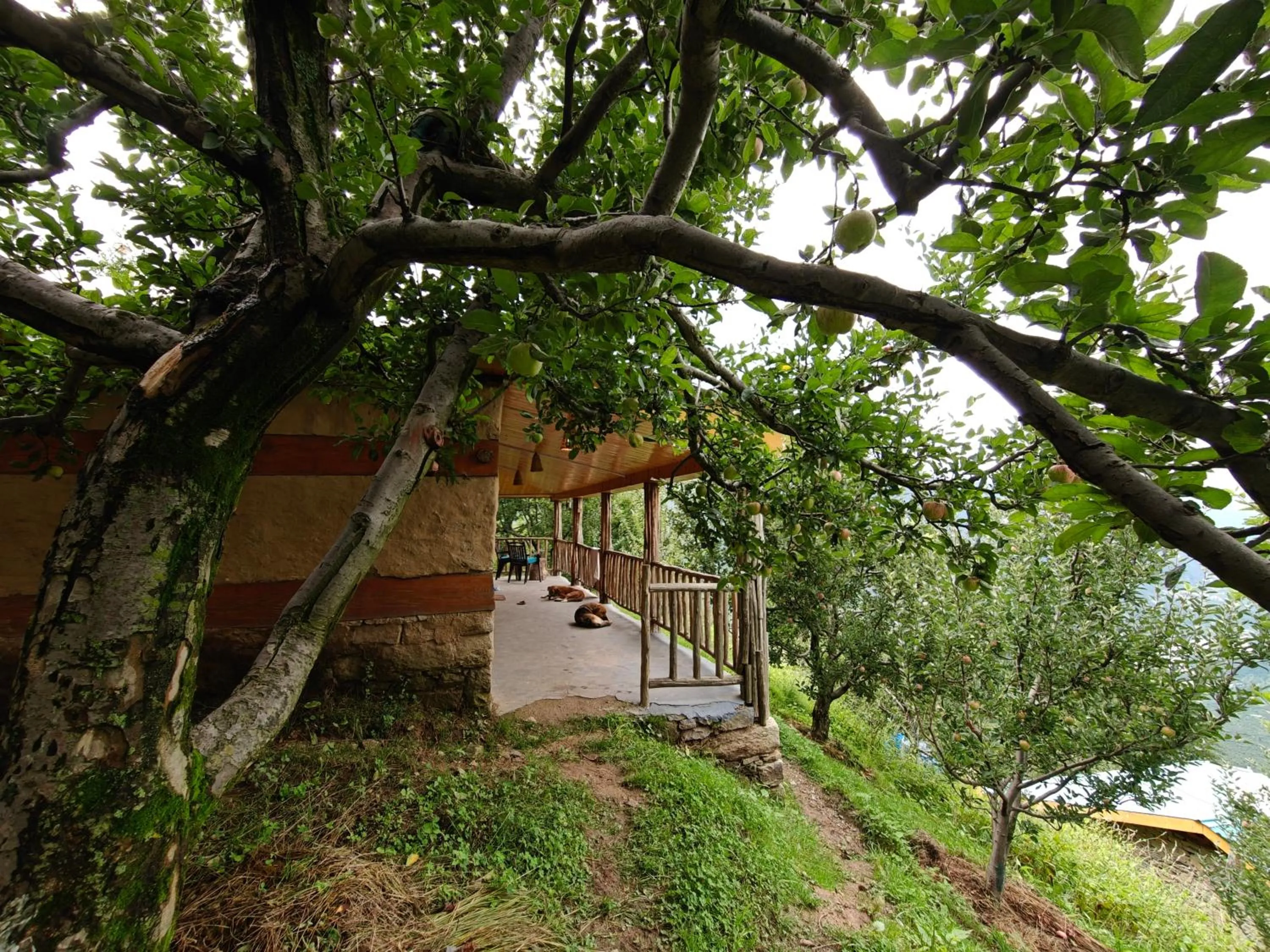 Property building in Upepo - The Sky Village