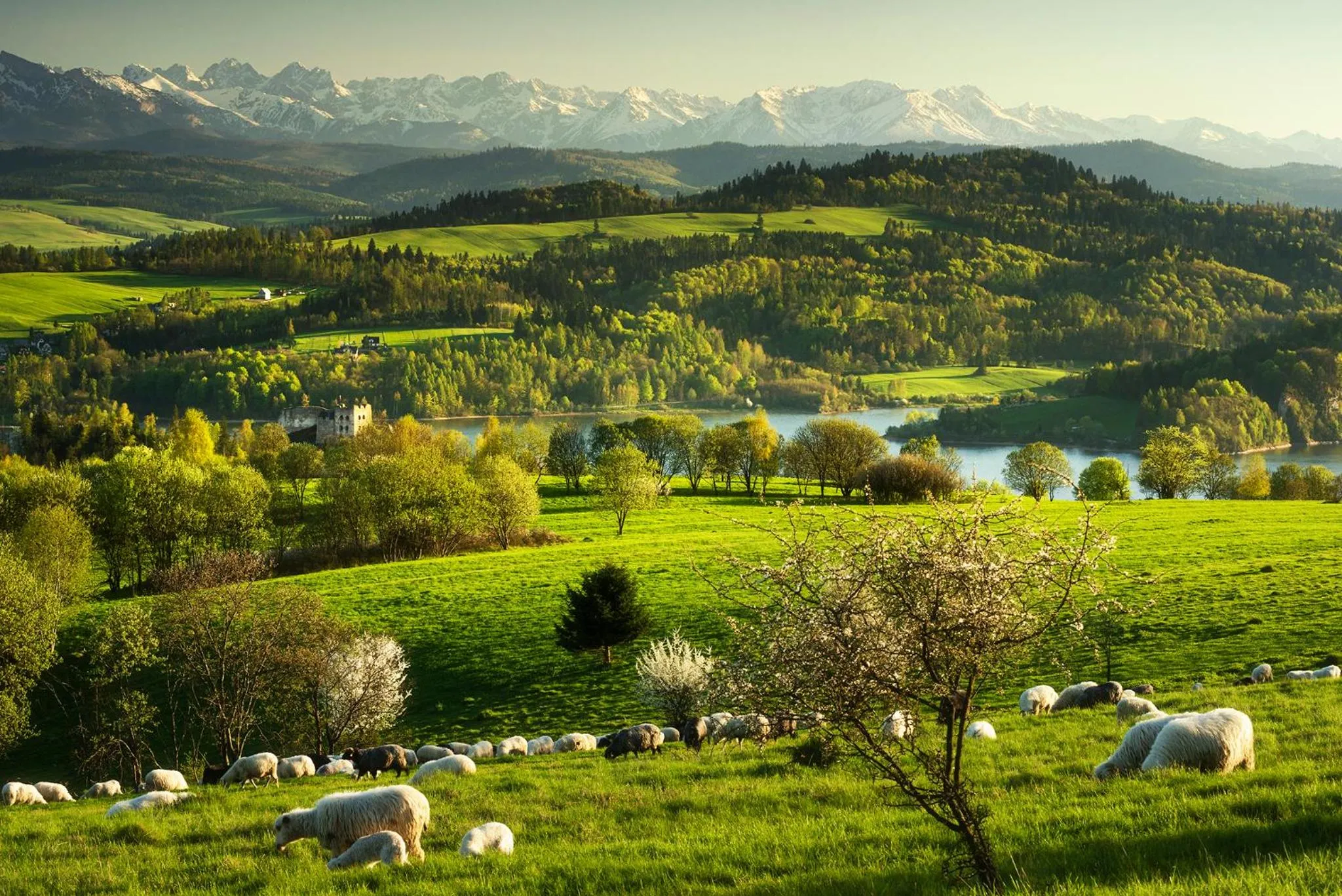 Off site in Renesans Residence Zakopane