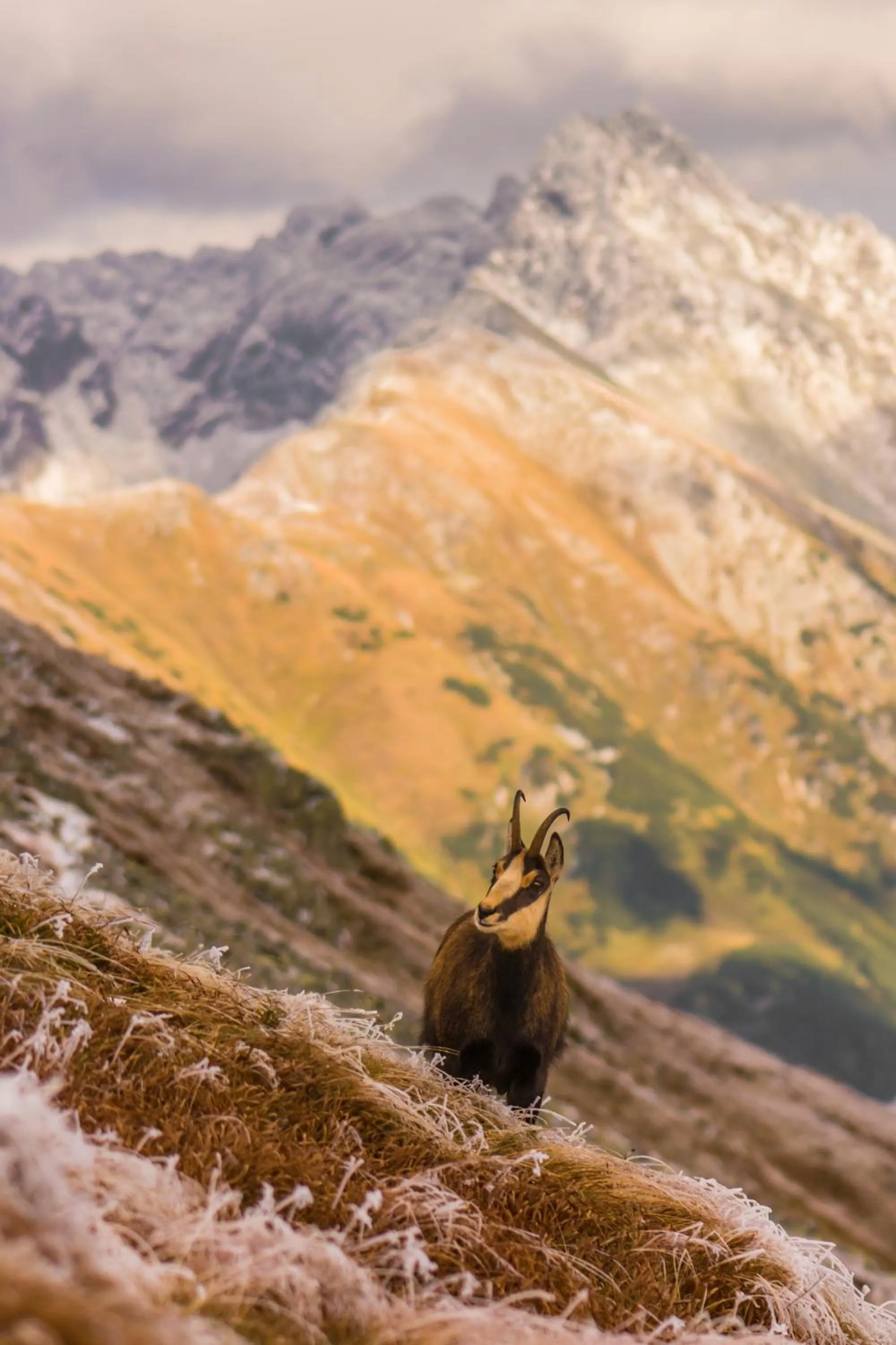 Off site in Renesans Residence Zakopane